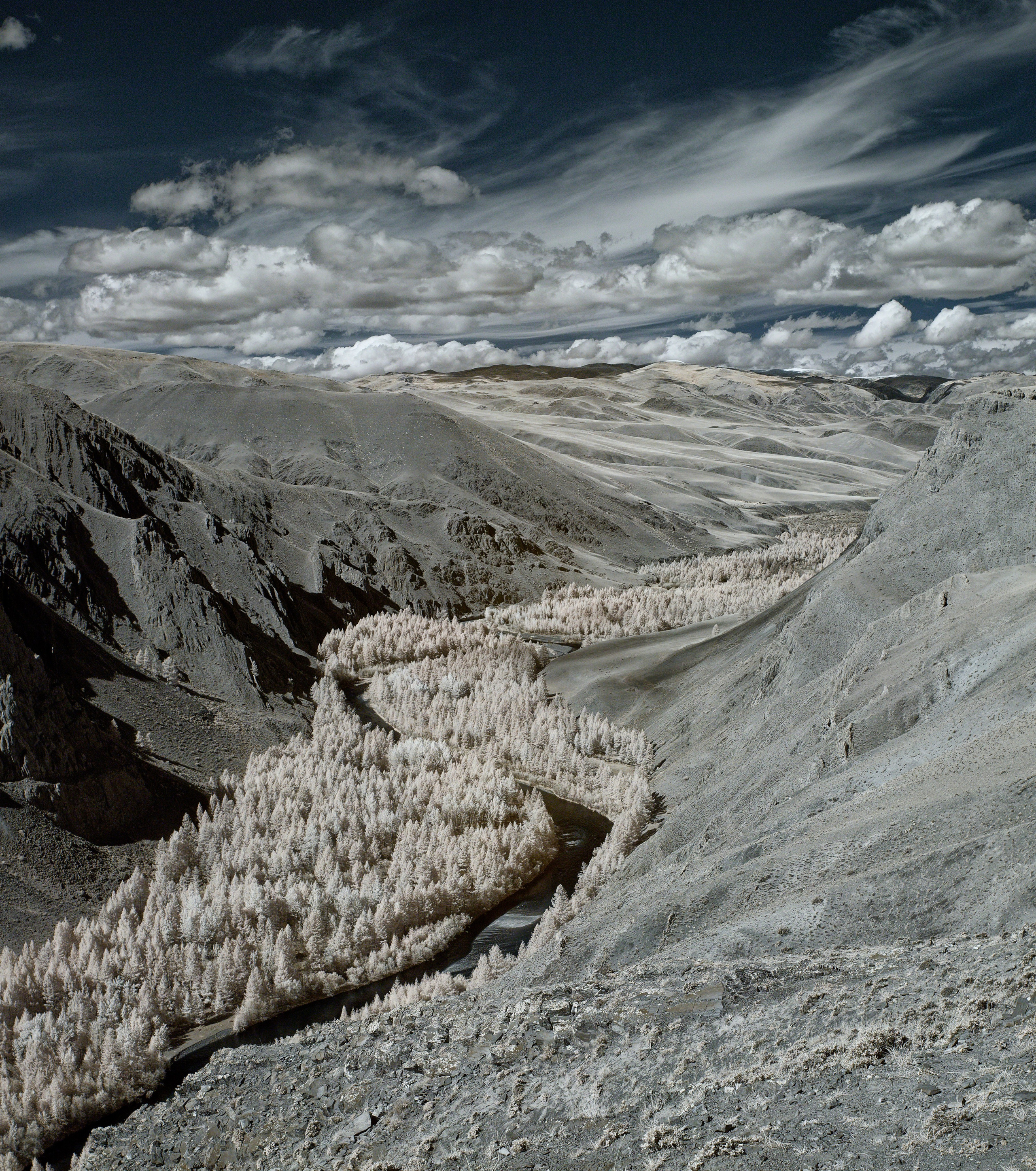Путешествие по южному Алтаю. Семоха Валерий. Фотограф