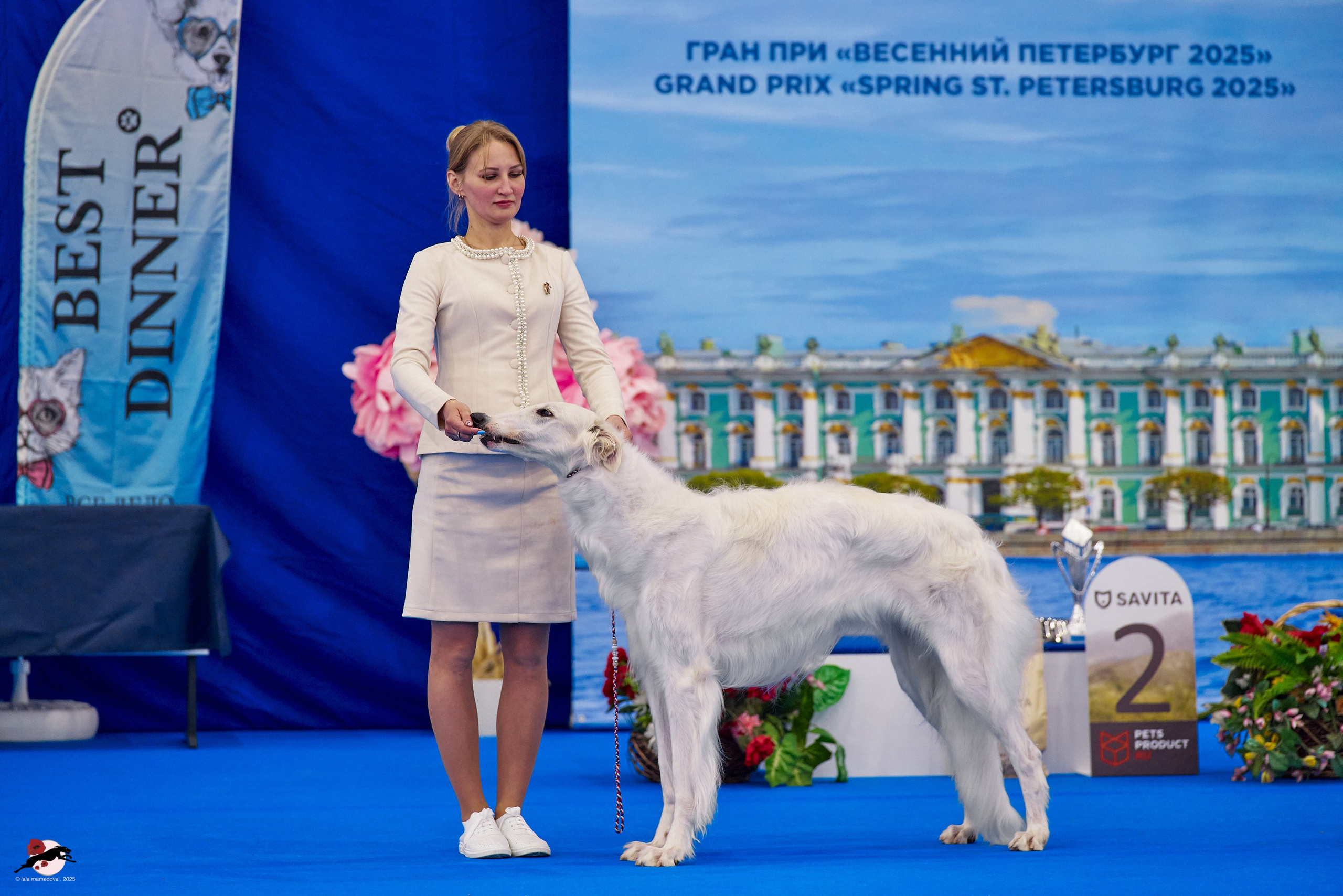 ГРАН ПРИ «ВЕСЕННИЙ ПЕТЕРБУРГ» & «СУПЕР КУБОК «ЭЛИТЫ»-2025»