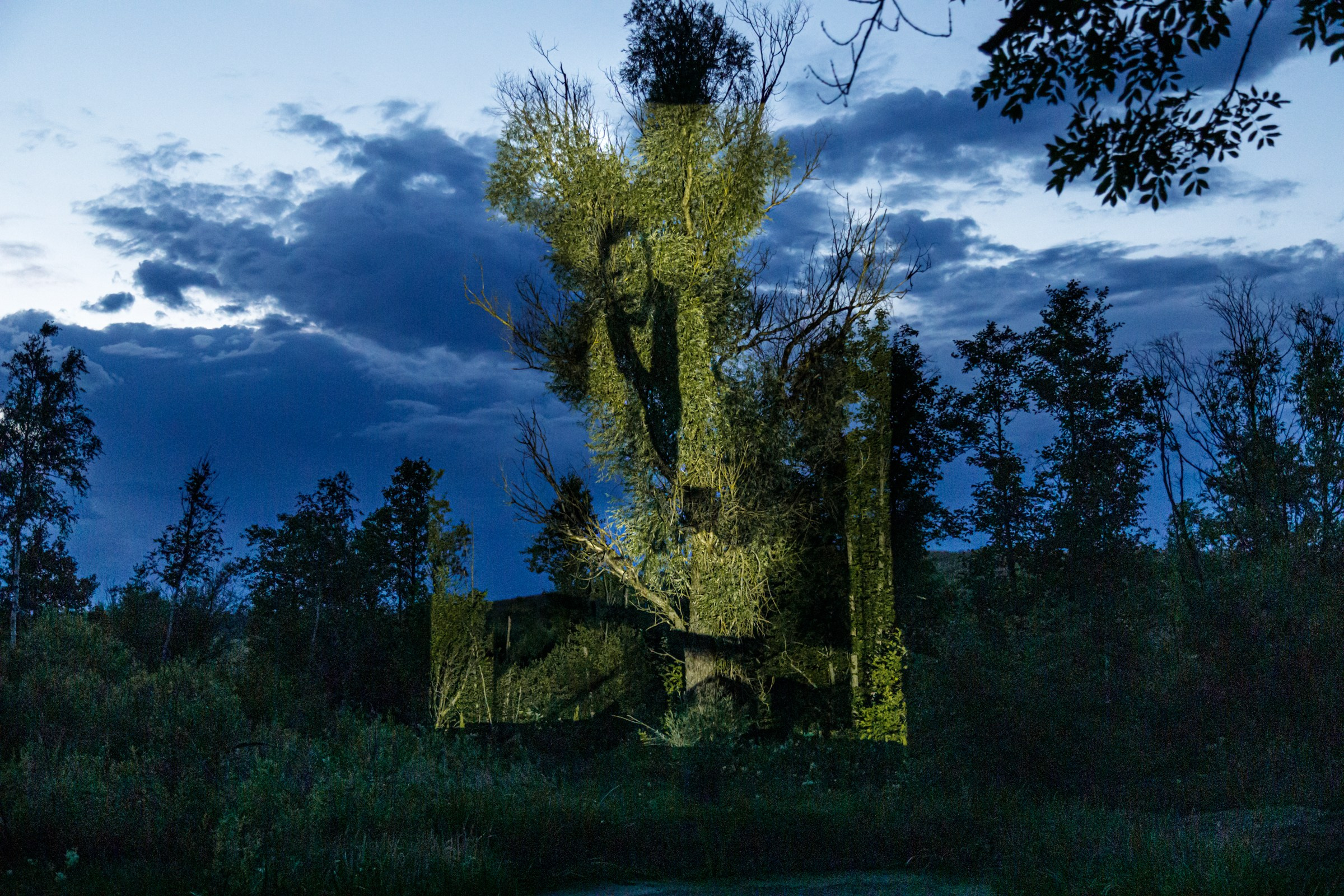 Locals. Photographer, Documentary and Art