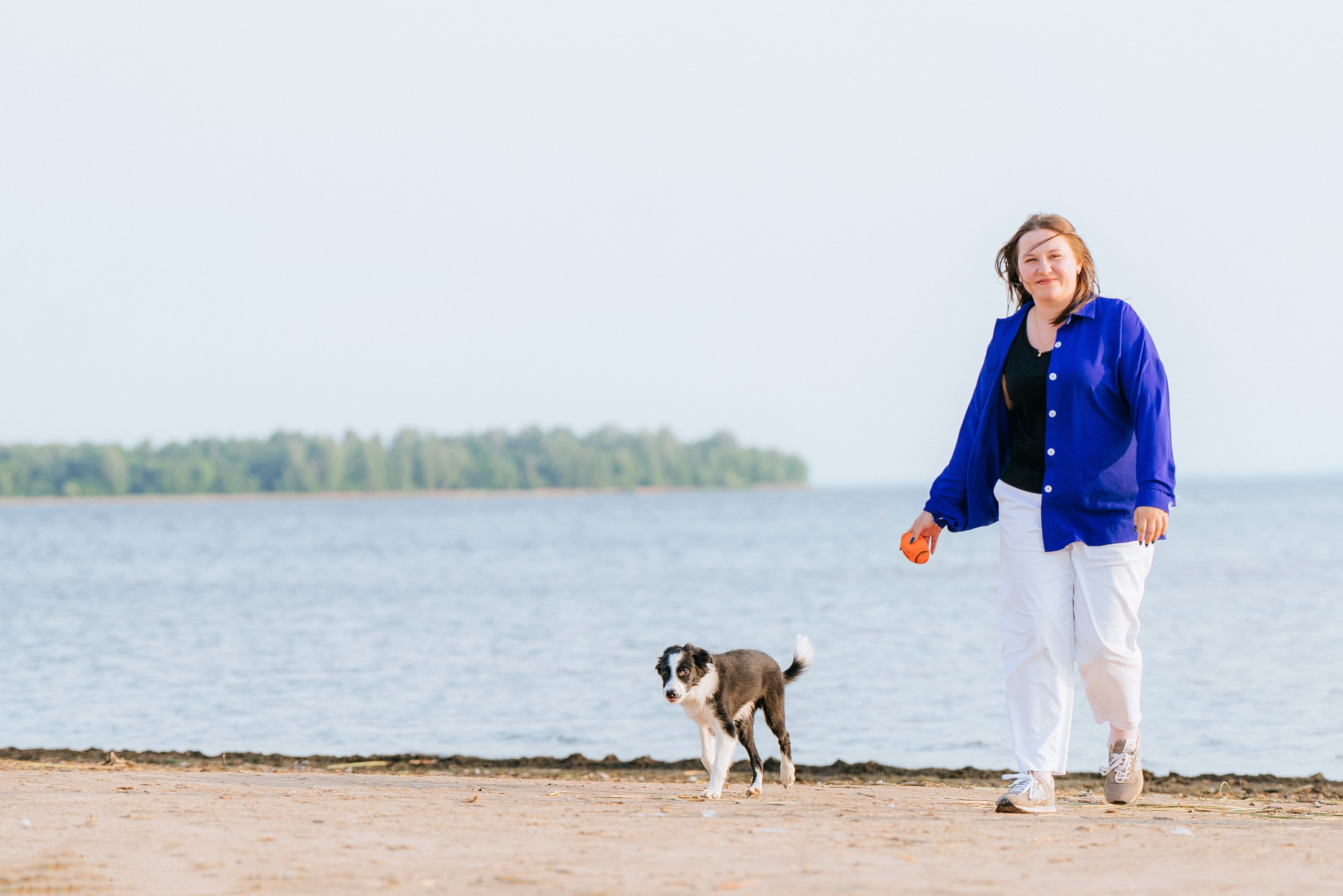 Фотосессия со щенками колли. Фотограф анималист в Спб недорого Олеся Майорова