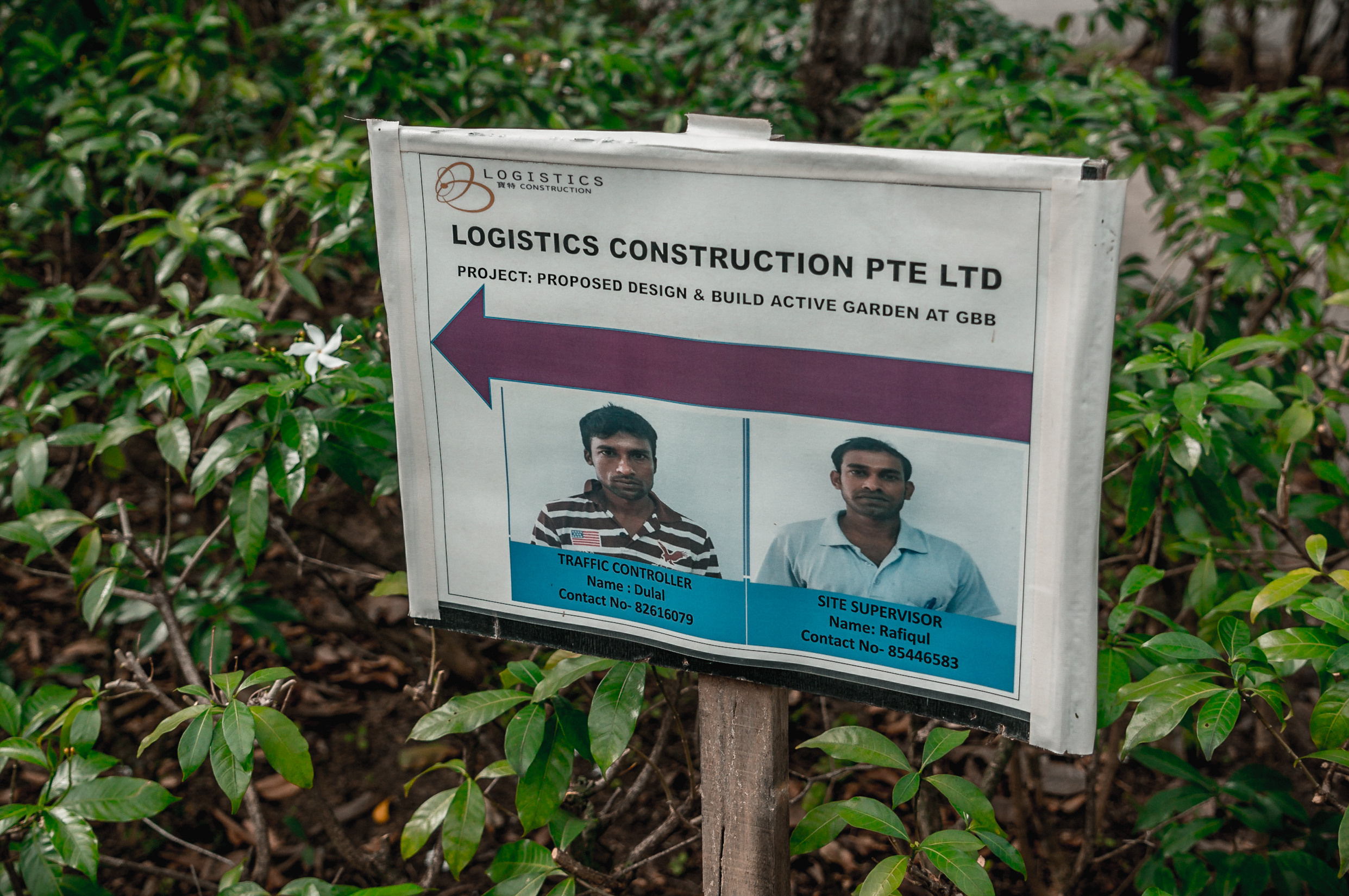 ЮВА: Сеул, Себу, Бохоль, Бали, Сингапур, Куала-Лумпур. Фотограф в Хабаровске. Фотография за 24 часа