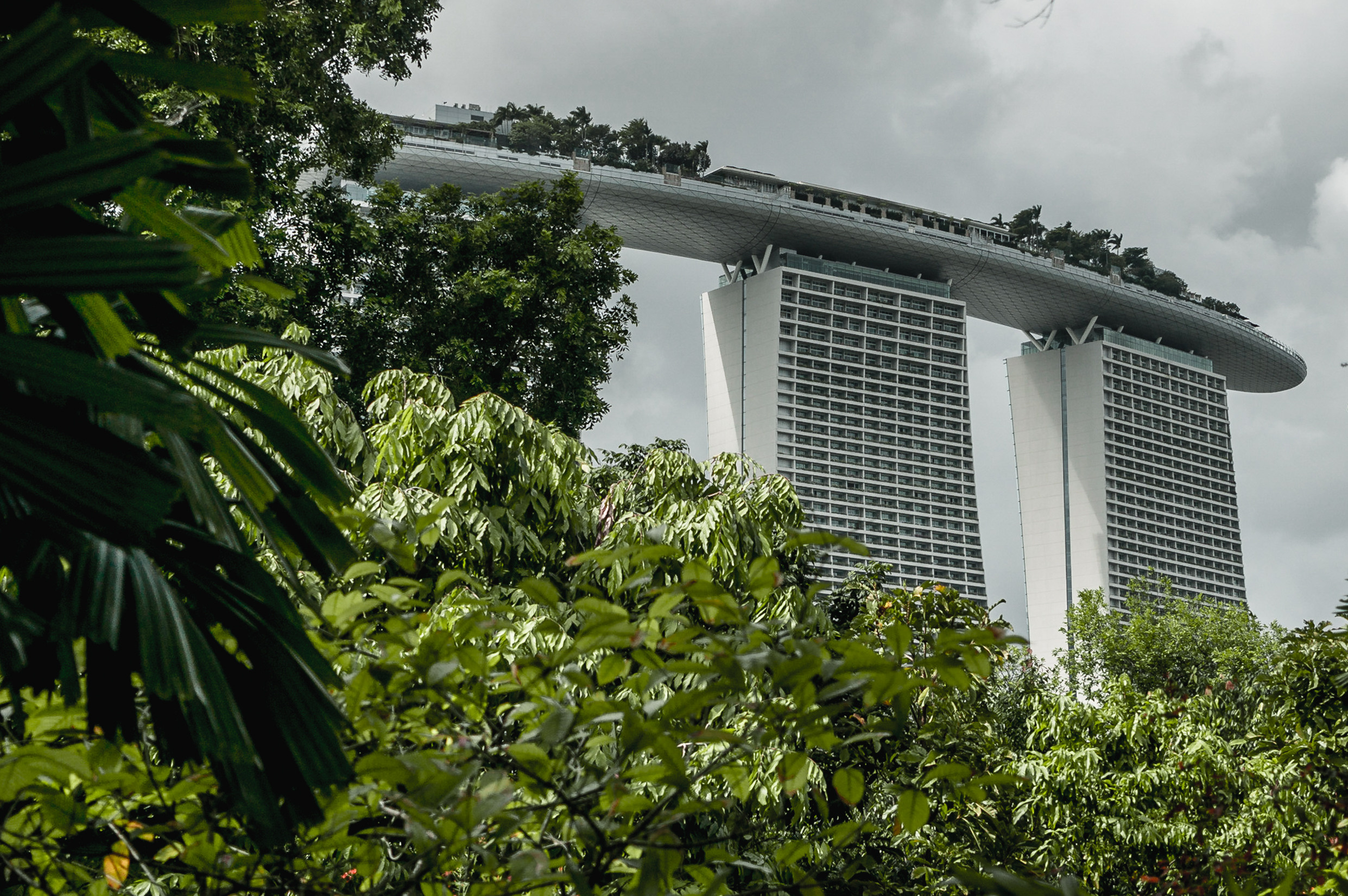 ЮВА: Сеул, Себу, Бохоль, Бали, Сингапур, Куала-Лумпур. Фотограф в Хабаровске. Фотография за 24 часа