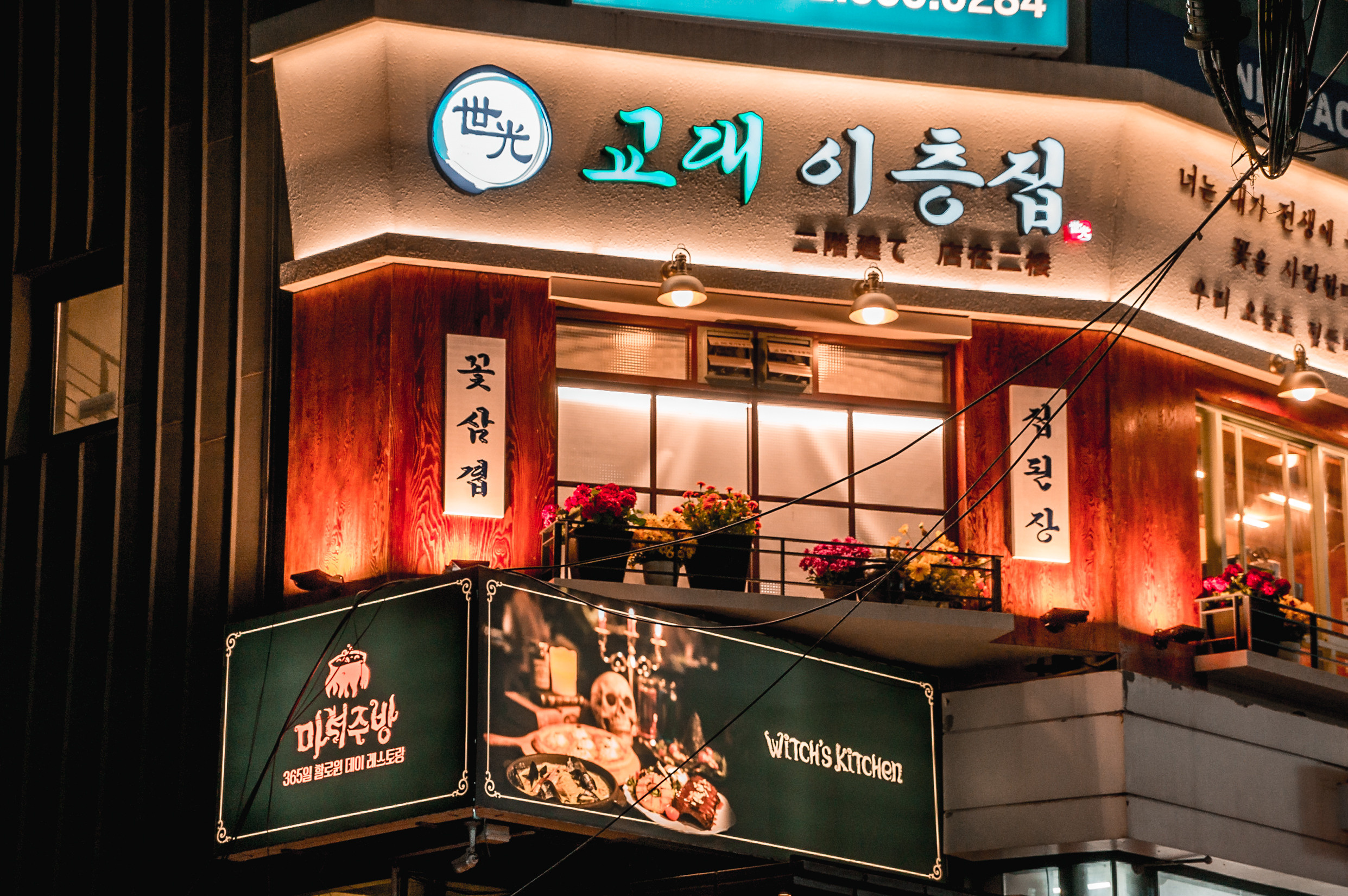 ЮВА: Сеул, Себу, Бохоль, Бали, Сингапур, Куала-Лумпур. Фотограф в Хабаровске. Фотография за 24 часа