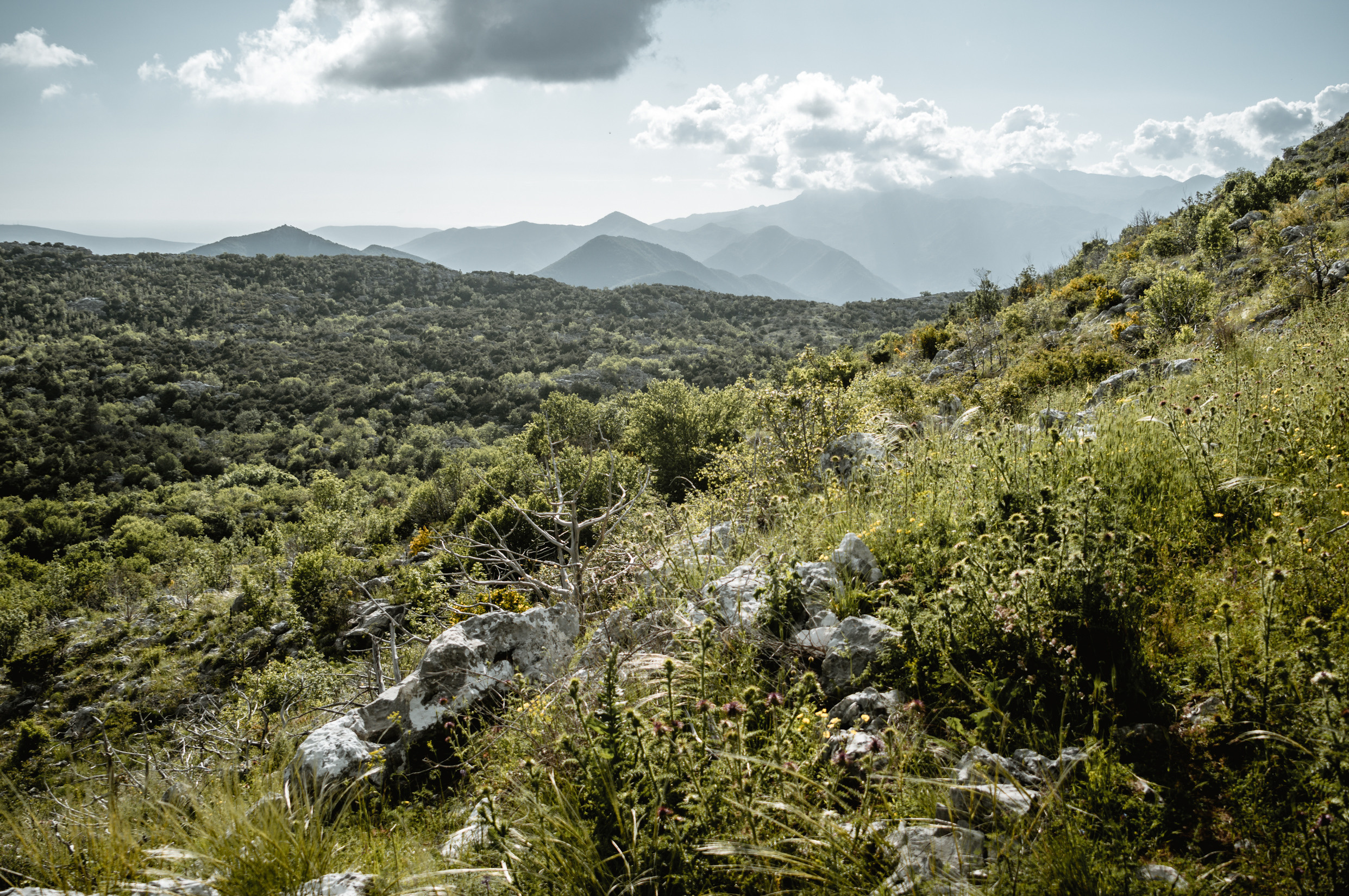 Балканы: Будапешт, Белград, Бухарест, Пловдив, Скопье, Тирана, Будва. Фотограф в Хабаровске. Фотография за 24 часа