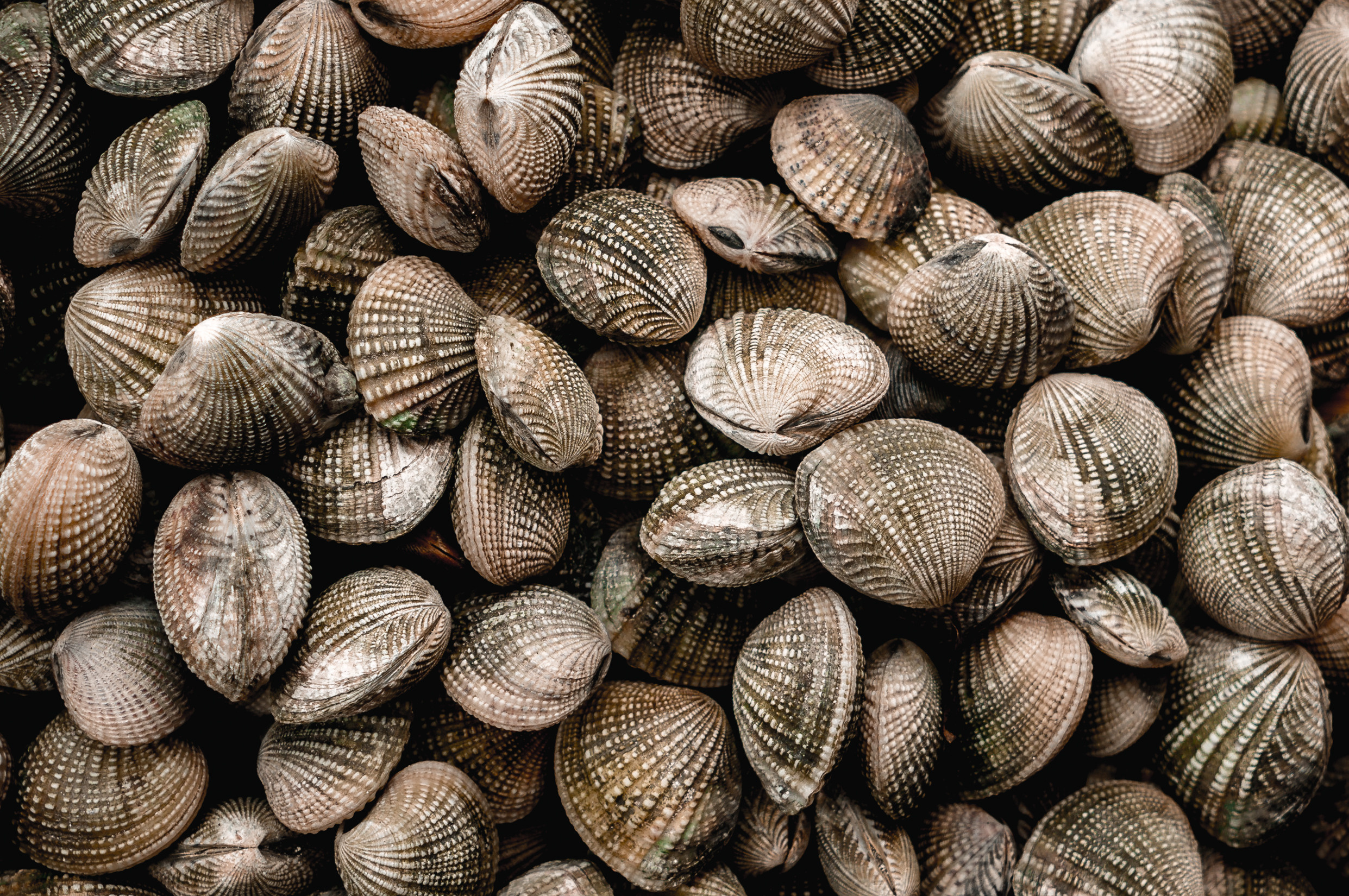 ЮВА: Сеул, Себу, Бохоль, Бали, Сингапур, Куала-Лумпур. Фотограф в Хабаровске. Фотография за 24 часа