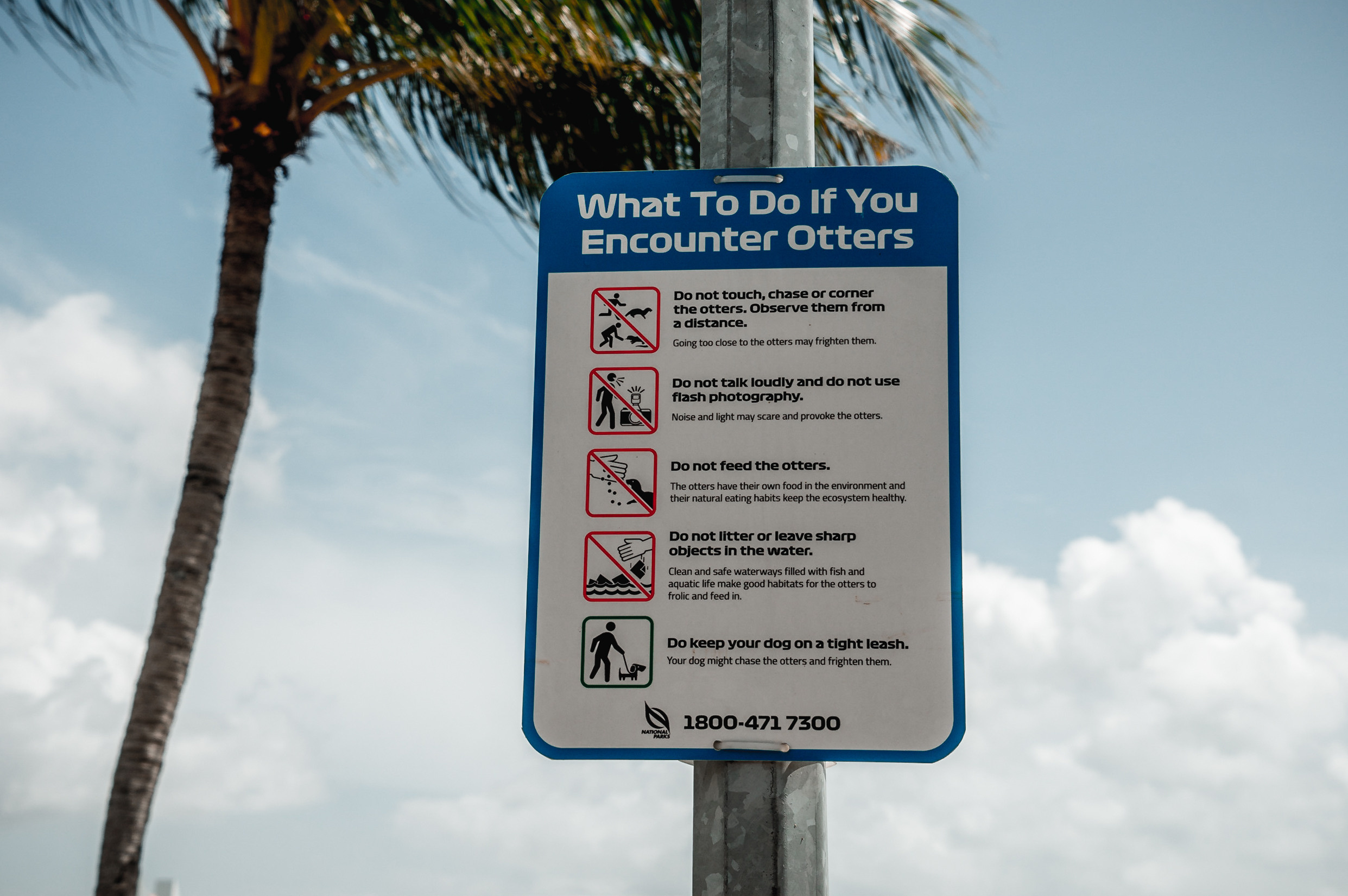 ЮВА: Сеул, Себу, Бохоль, Бали, Сингапур, Куала-Лумпур. Фотограф в Хабаровске. Фотография за 24 часа