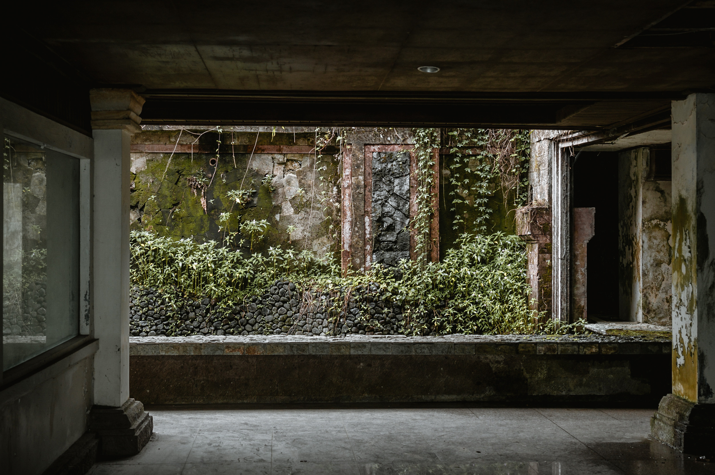 ЮВА: Сеул, Себу, Бохоль, Бали, Сингапур, Куала-Лумпур. Фотограф в Хабаровске. Фотография за 24 часа