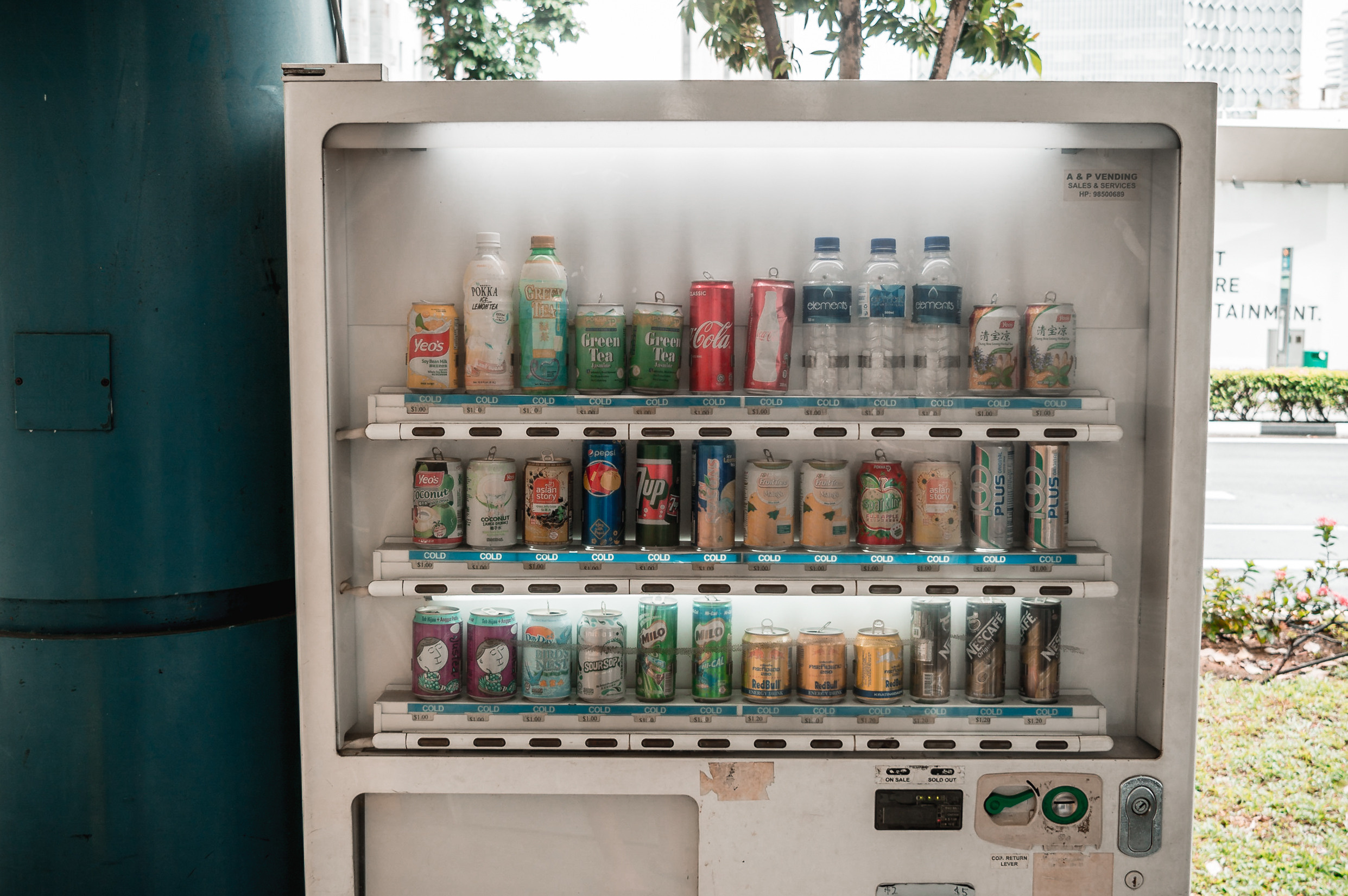 ЮВА: Сеул, Себу, Бохоль, Бали, Сингапур, Куала-Лумпур. Фотограф в Хабаровске. Фотография за 24 часа