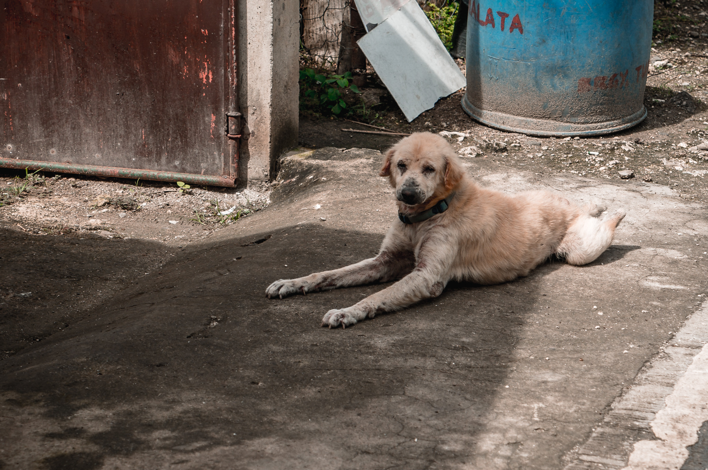 ЮВА: Сеул, Себу, Бохоль, Бали, Сингапур, Куала-Лумпур. Фотограф в Хабаровске. Фотография за 24 часа