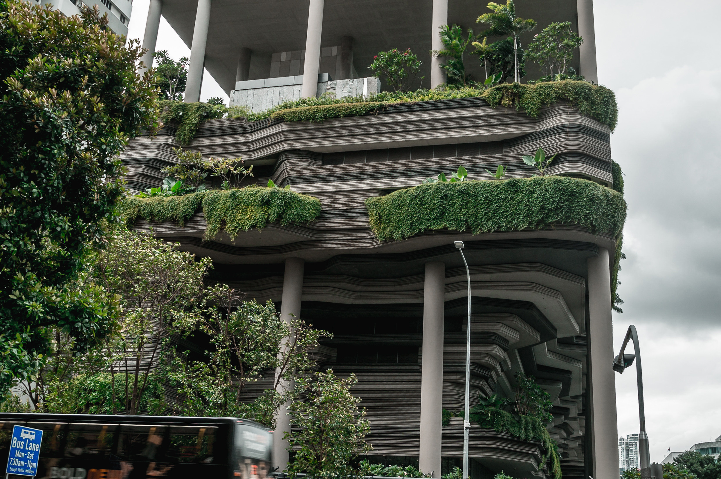 ЮВА: Сеул, Себу, Бохоль, Бали, Сингапур, Куала-Лумпур. Фотограф в Хабаровске. Фотография за 24 часа