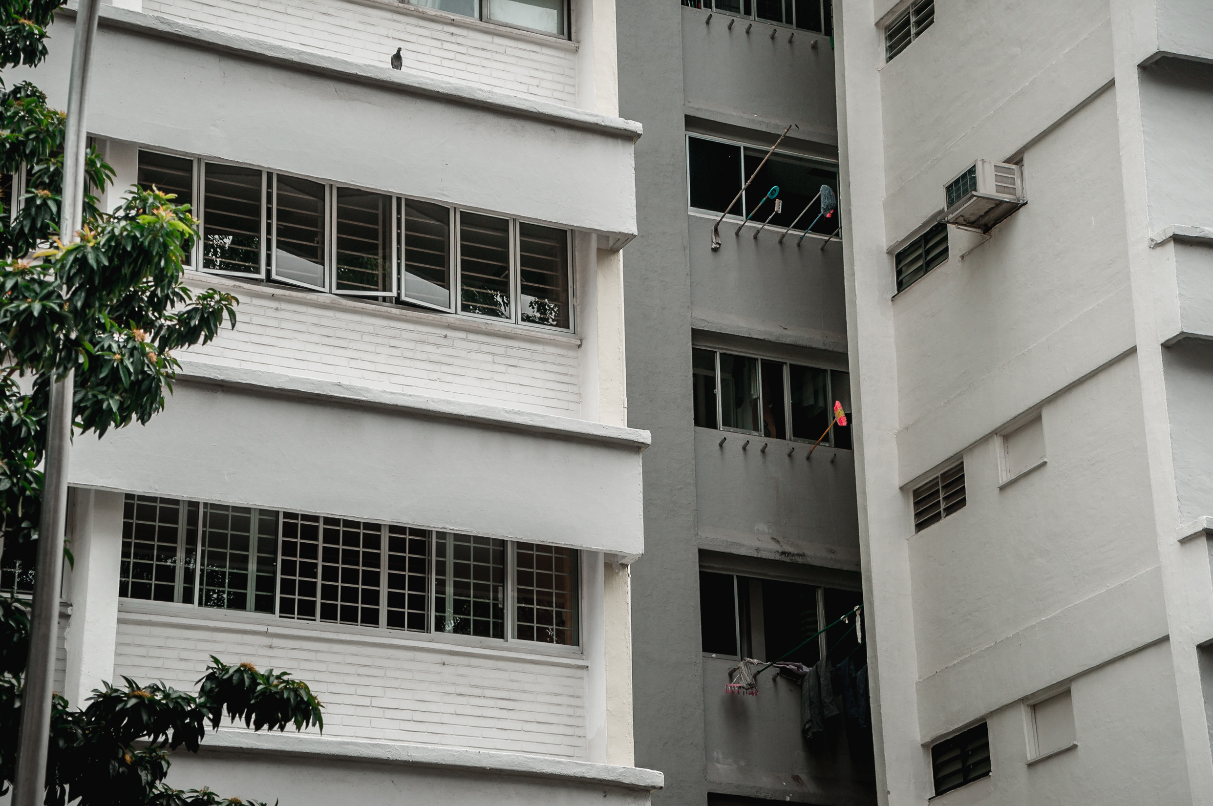 ЮВА: Сеул, Себу, Бохоль, Бали, Сингапур, Куала-Лумпур. Фотограф в Хабаровске. Фотография за 24 часа