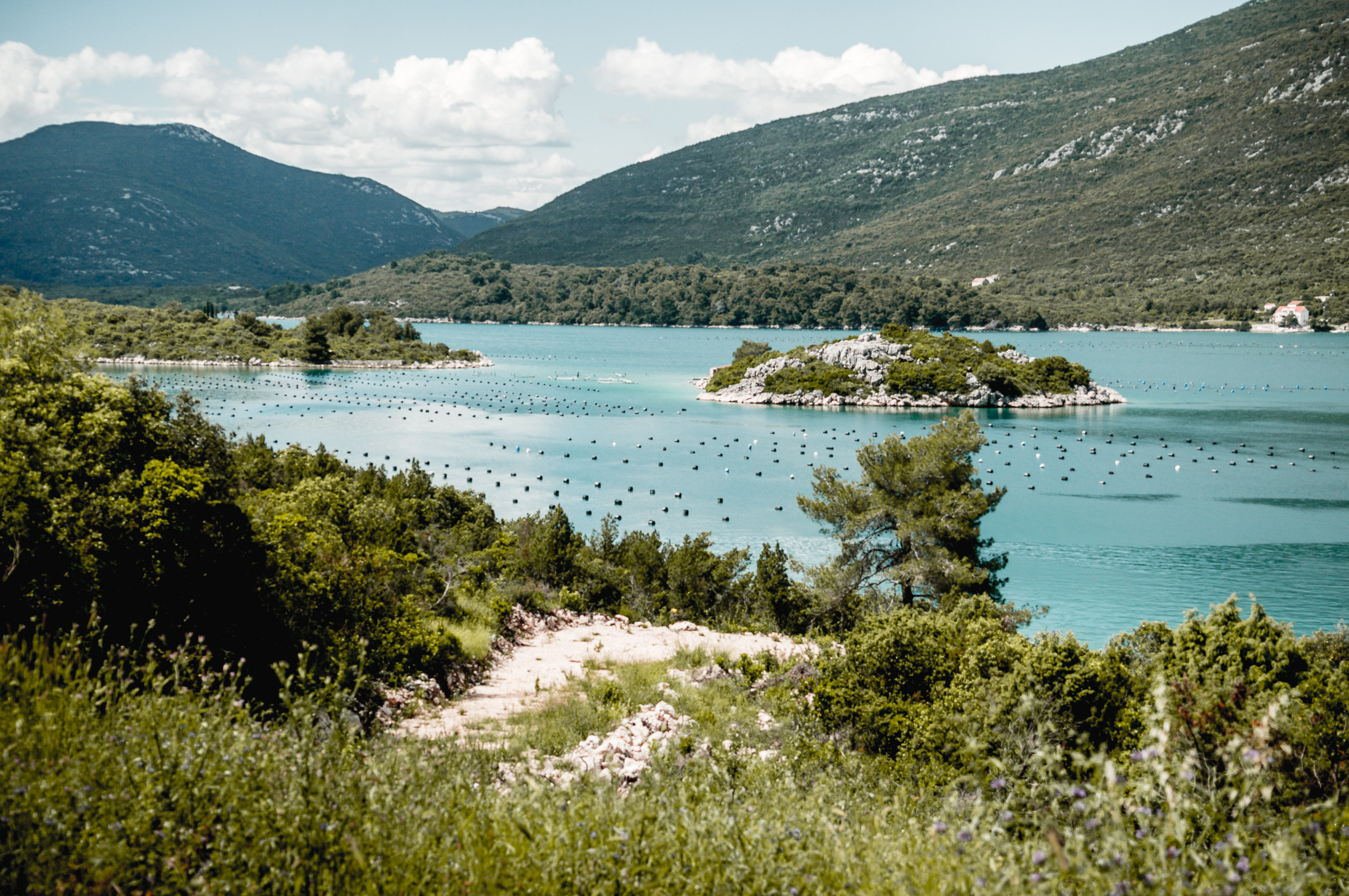 Балканы: Будапешт, Белград, Бухарест, Пловдив, Скопье, Тирана, Будва. Фотограф в Хабаровске. Фотография за 24 часа