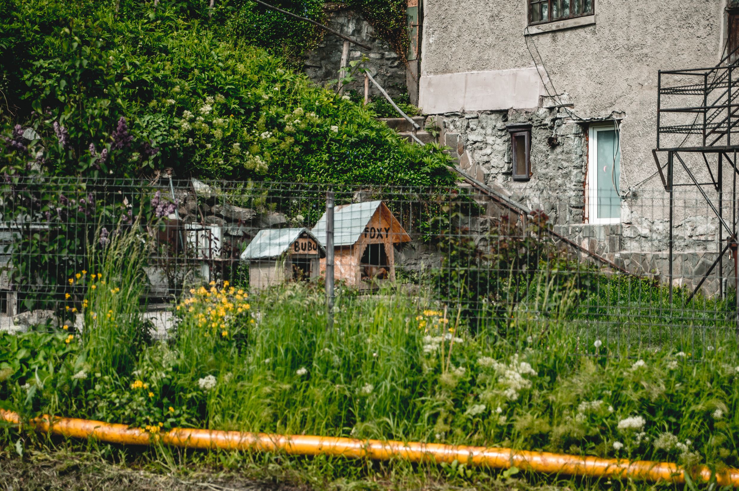 Балканы: Будапешт, Белград, Бухарест, Пловдив, Скопье, Тирана, Будва. Фотограф в Хабаровске. Фотография за 24 часа