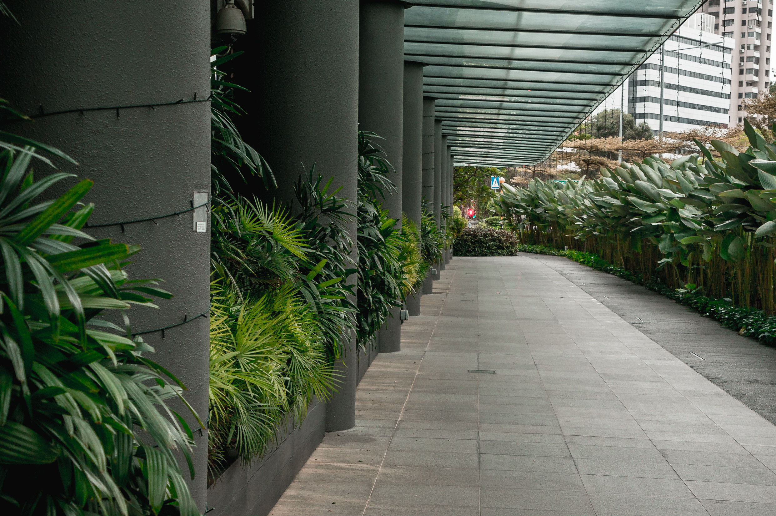 ЮВА: Сеул, Себу, Бохоль, Бали, Сингапур, Куала-Лумпур. Фотограф в Хабаровске. Фотография за 24 часа