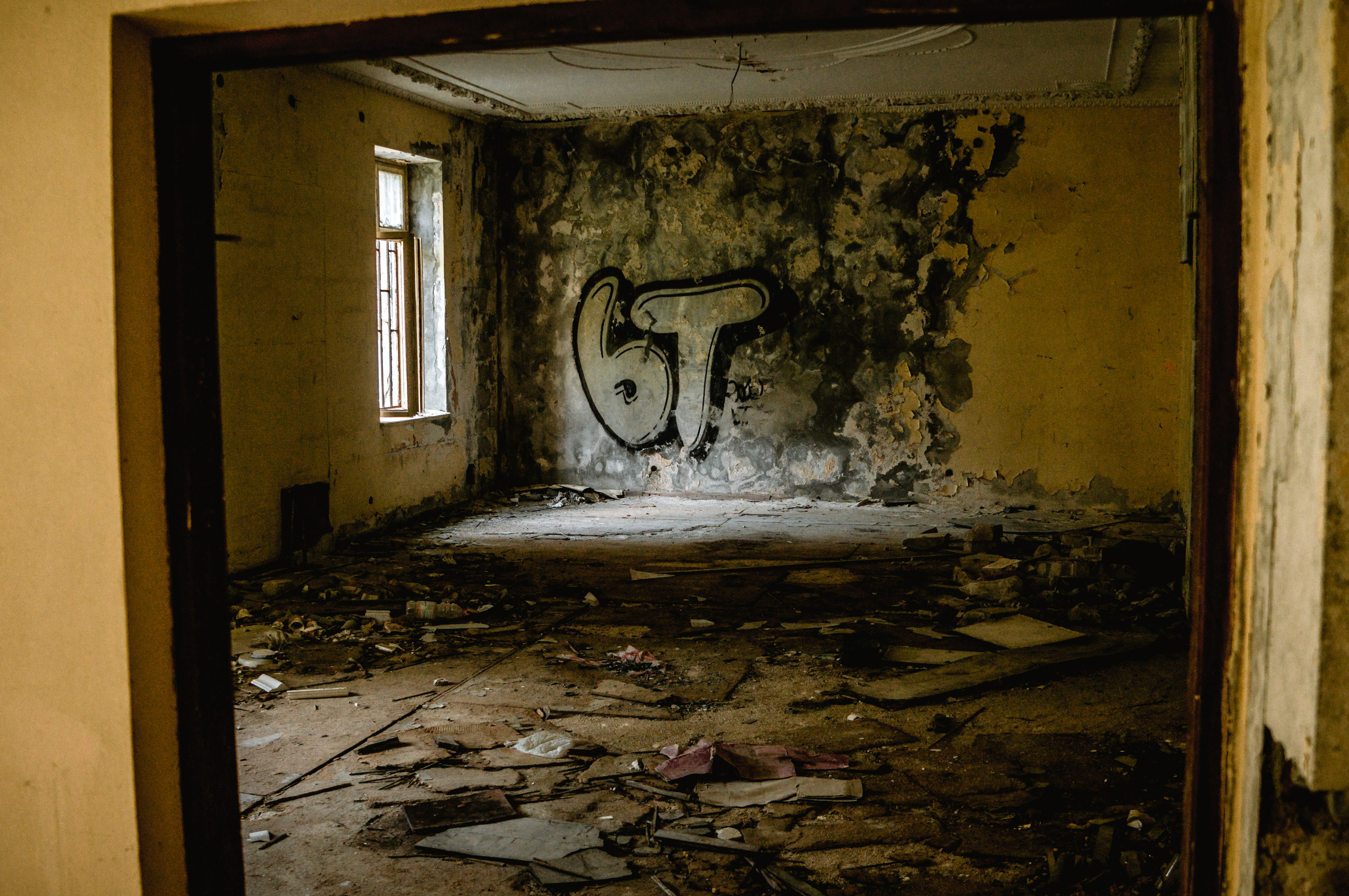 Балканы: Будапешт, Белград, Бухарест, Пловдив, Скопье, Тирана, Будва. Фотограф в Хабаровске. Фотография за 24 часа