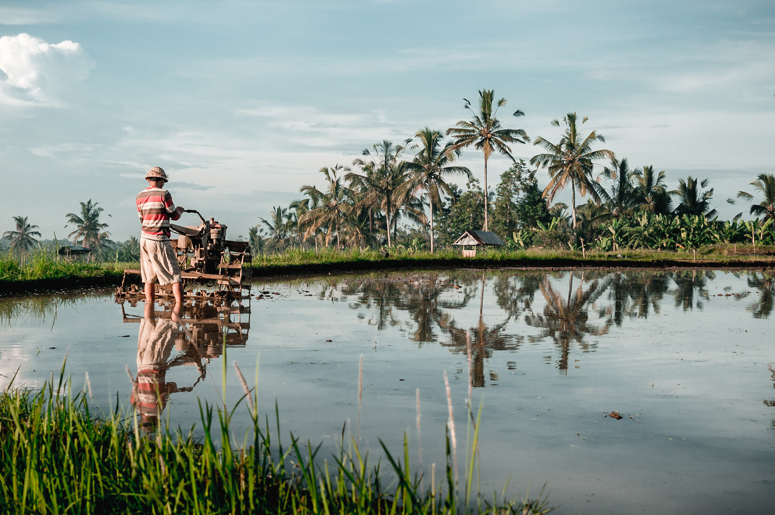 ЮВА: Сеул, Себу, Бохоль, Бали, Сингапур, Куала-Лумпур. Фотограф в Хабаровске. Фотография за 24 часа