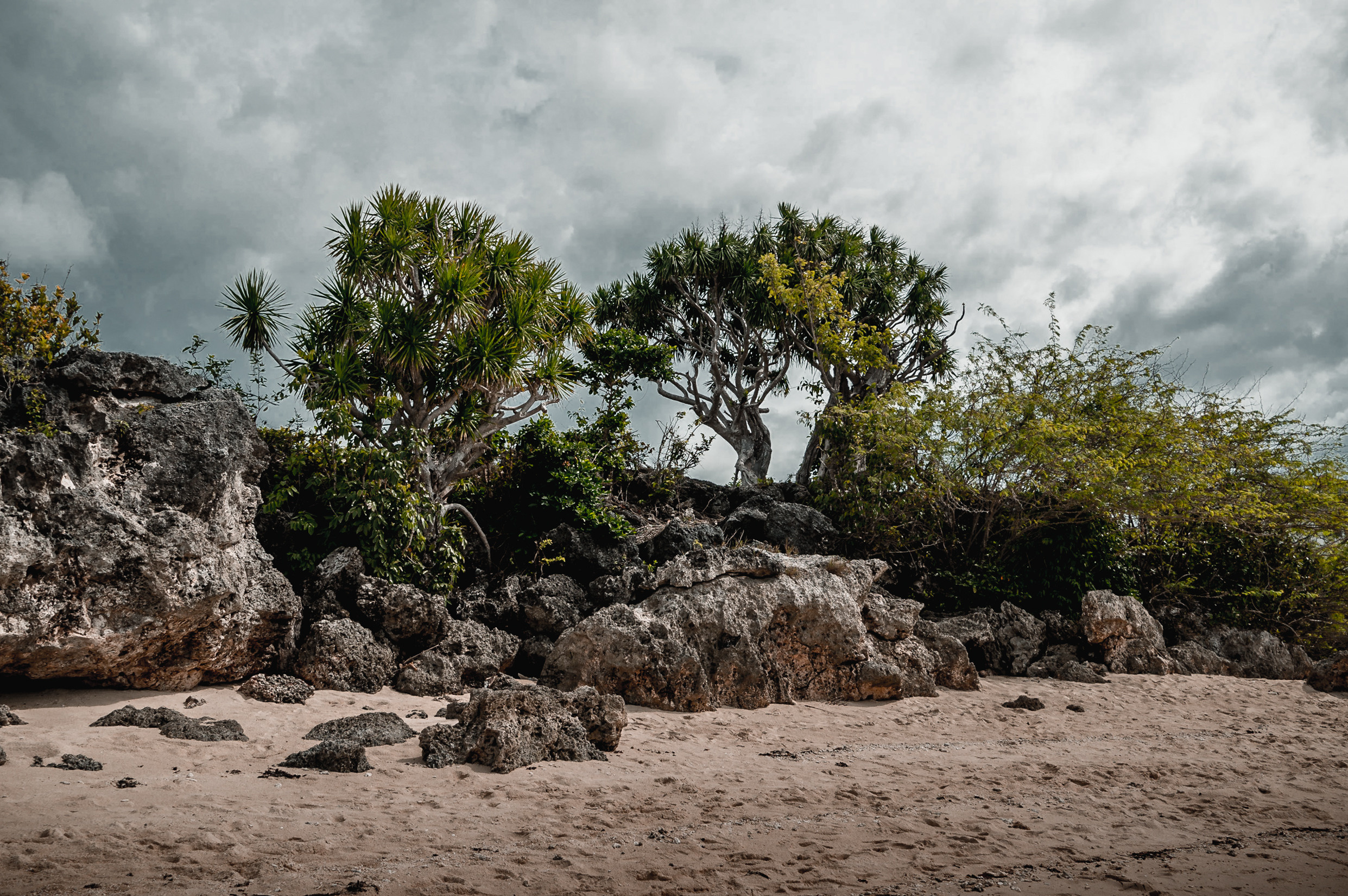ЮВА: Сеул, Себу, Бохоль, Бали, Сингапур, Куала-Лумпур. Фотограф в Хабаровске. Фотография за 24 часа