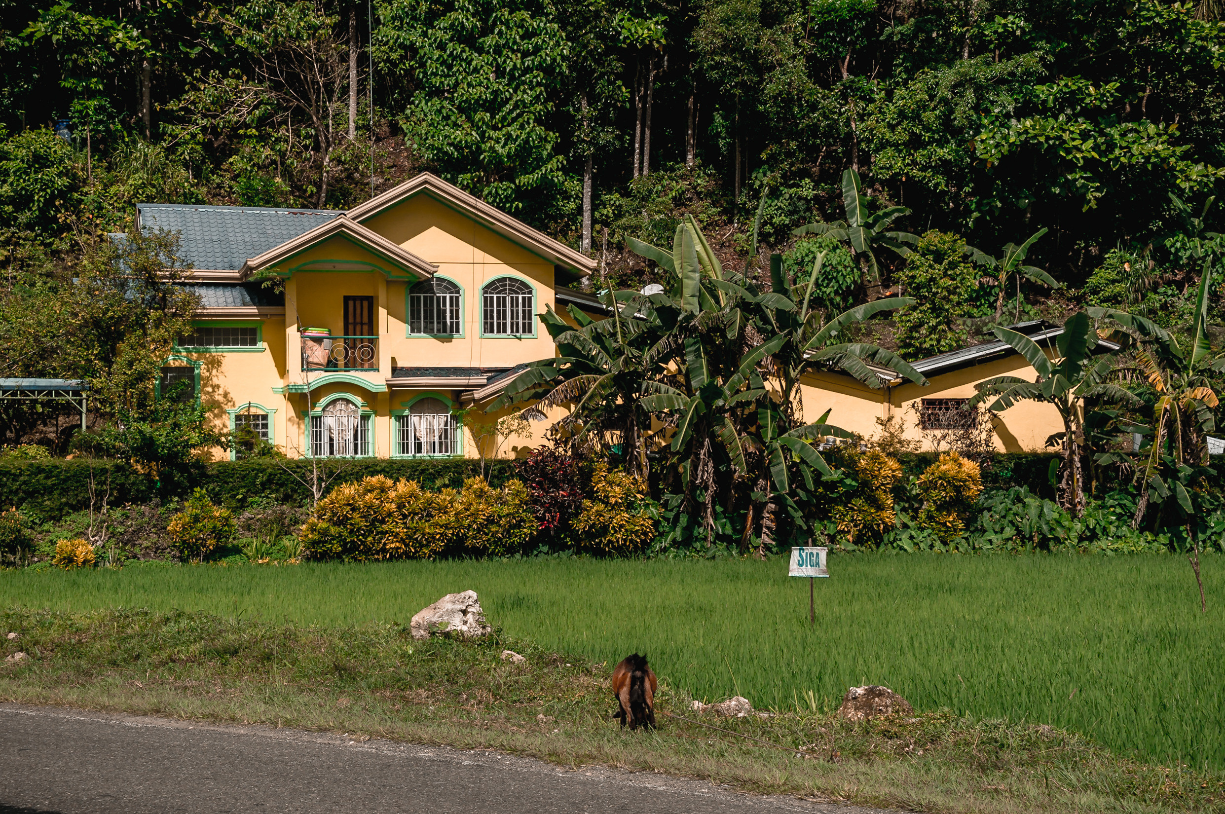 ЮВА: Сеул, Себу, Бохоль, Бали, Сингапур, Куала-Лумпур. Фотограф в Хабаровске. Фотография за 24 часа