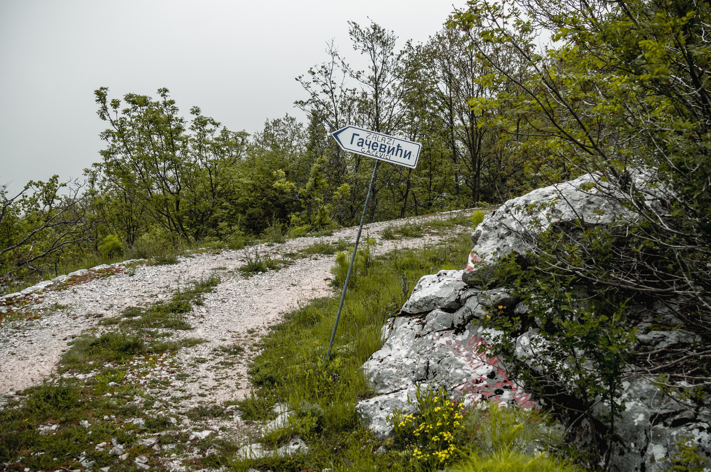 Балканы: Будапешт, Белград, Бухарест, Пловдив, Скопье, Тирана, Будва. Фотограф в Хабаровске. Фотография за 24 часа