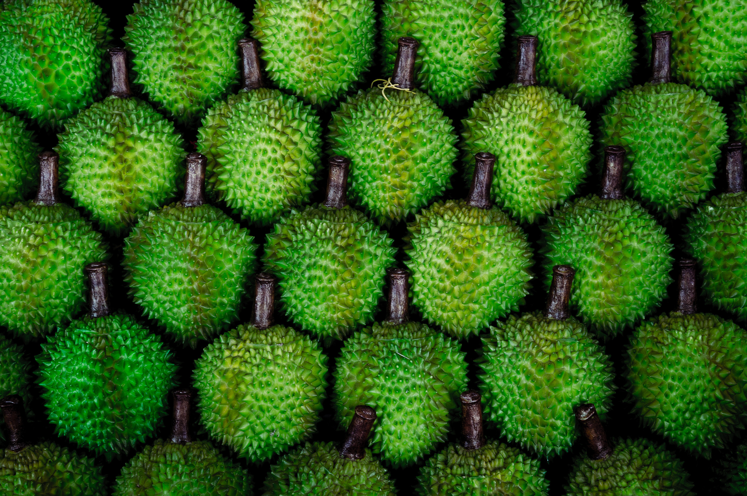 ЮВА: Сеул, Себу, Бохоль, Бали, Сингапур, Куала-Лумпур. Фотограф в Хабаровске. Фотография за 24 часа