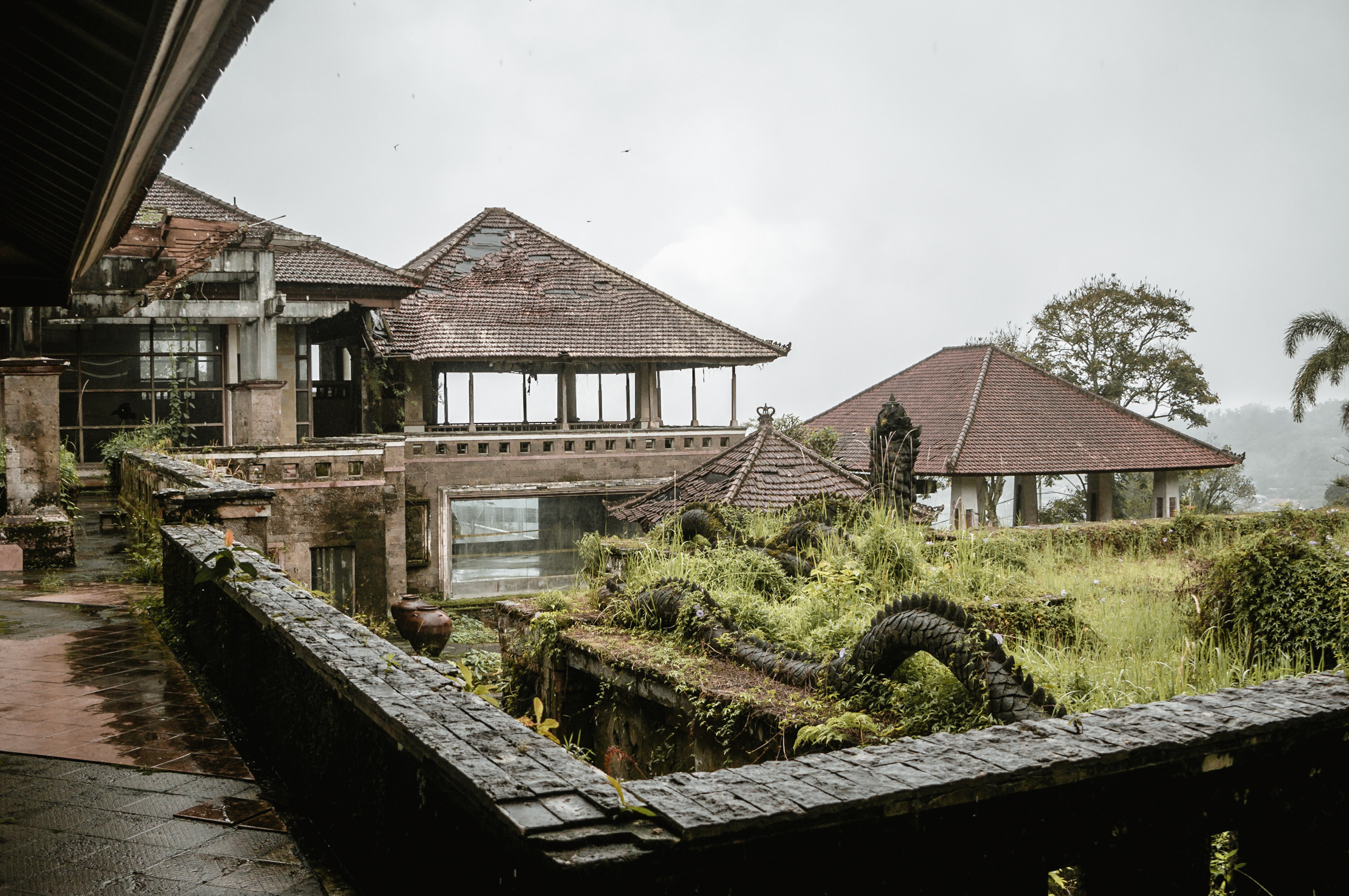 ЮВА: Сеул, Себу, Бохоль, Бали, Сингапур, Куала-Лумпур. Фотограф в Хабаровске. Фотография за 24 часа