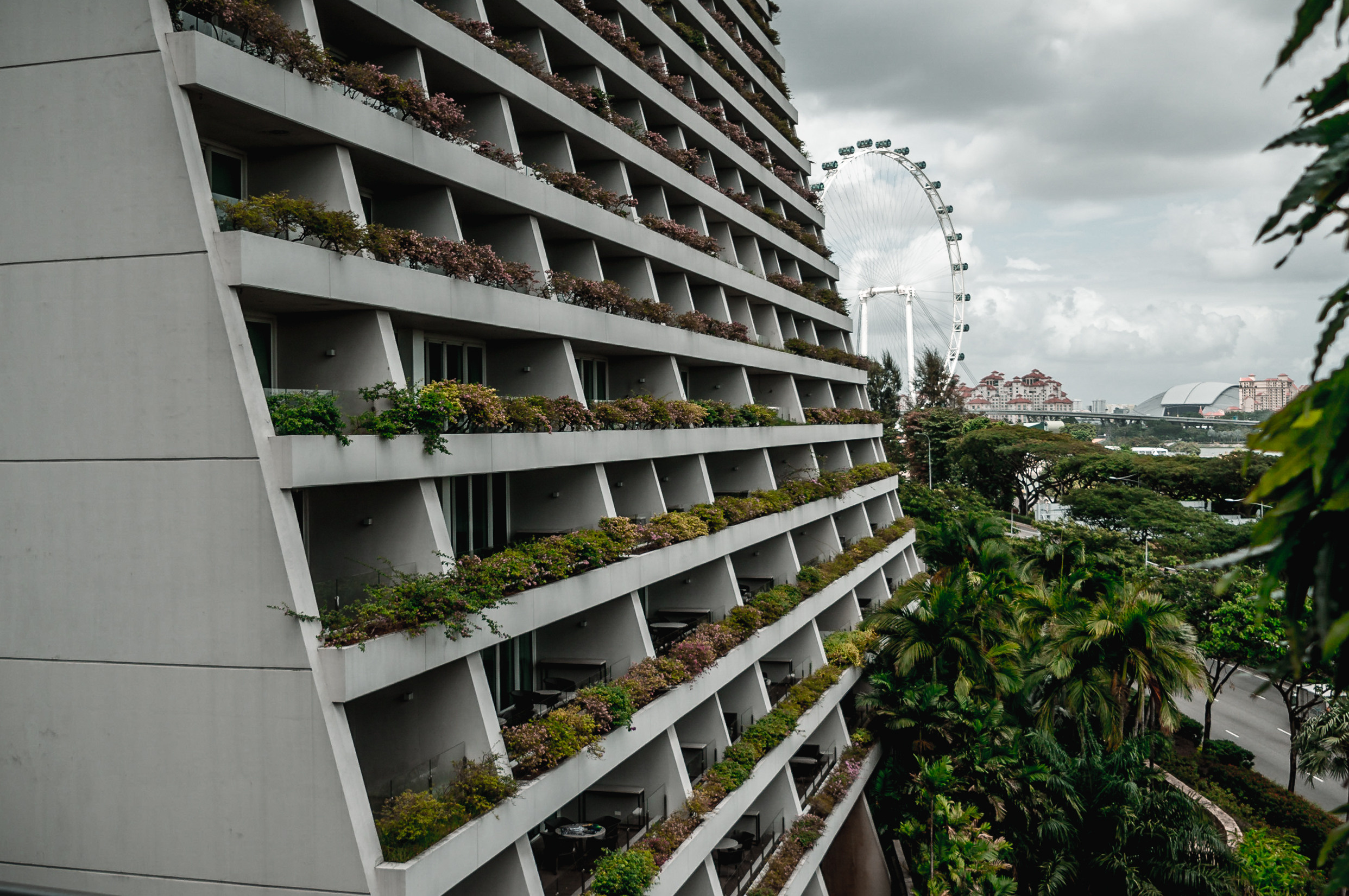 ЮВА: Сеул, Себу, Бохоль, Бали, Сингапур, Куала-Лумпур. Фотограф в Хабаровске. Фотография за 24 часа