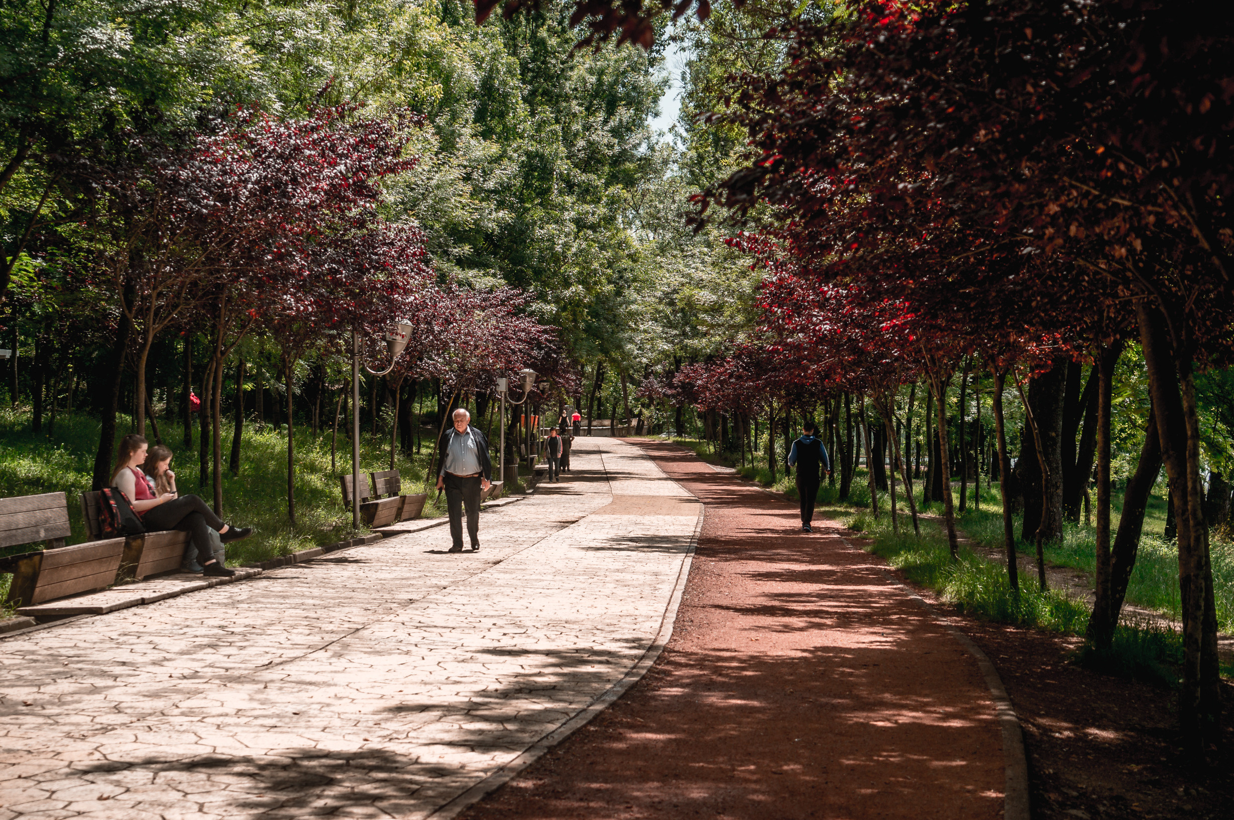 Балканы: Будапешт, Белград, Бухарест, Пловдив, Скопье, Тирана, Будва. Фотограф в Хабаровске. Фотография за 24 часа