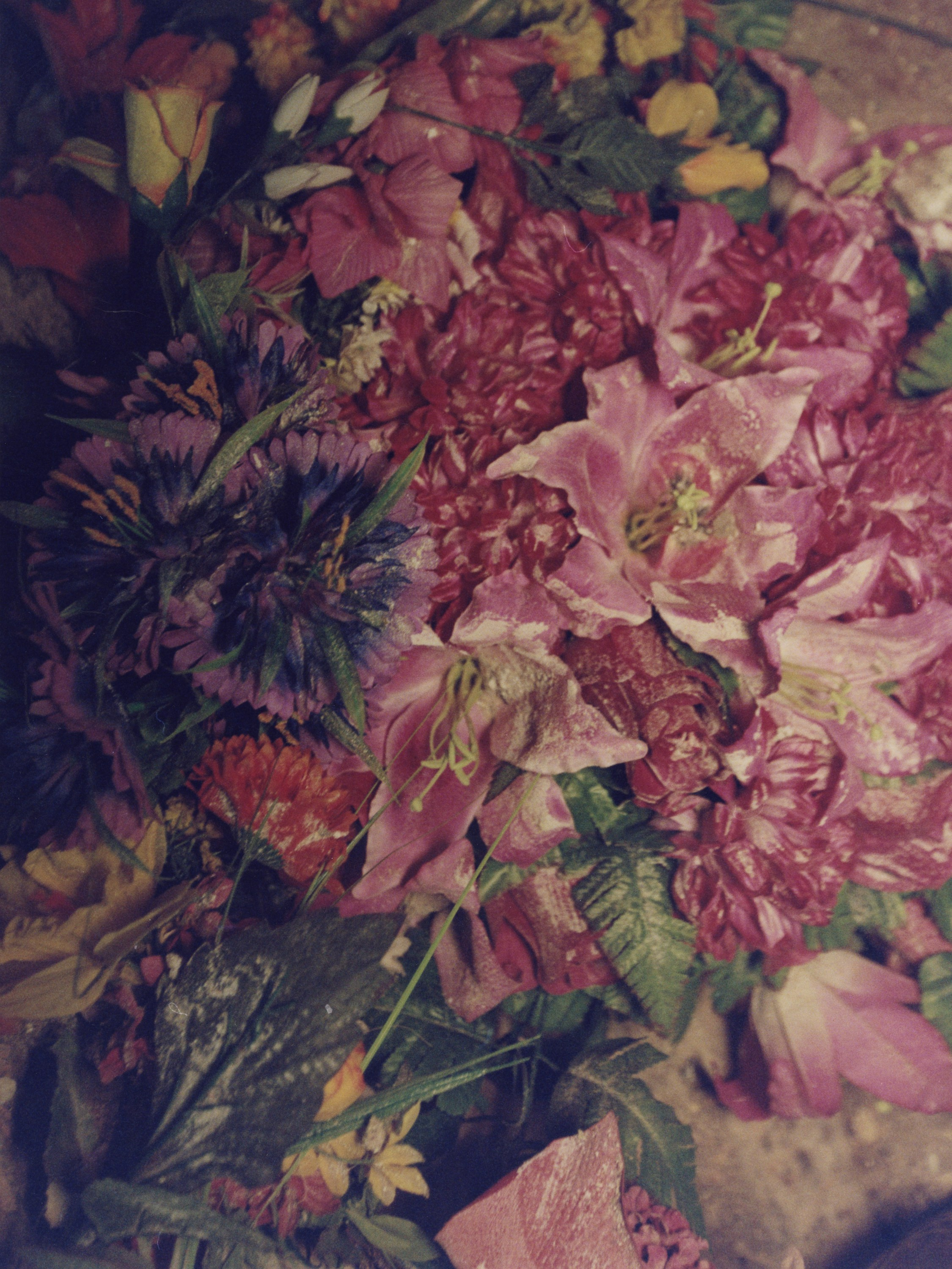 STILL LIFE. Photographer Olya Pegova