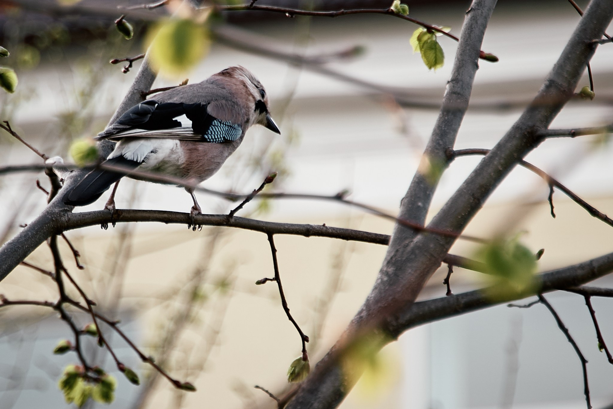 Владу 18. Петр Ступень. Свадебное, семейное фото и видео. Москва. Краснодар