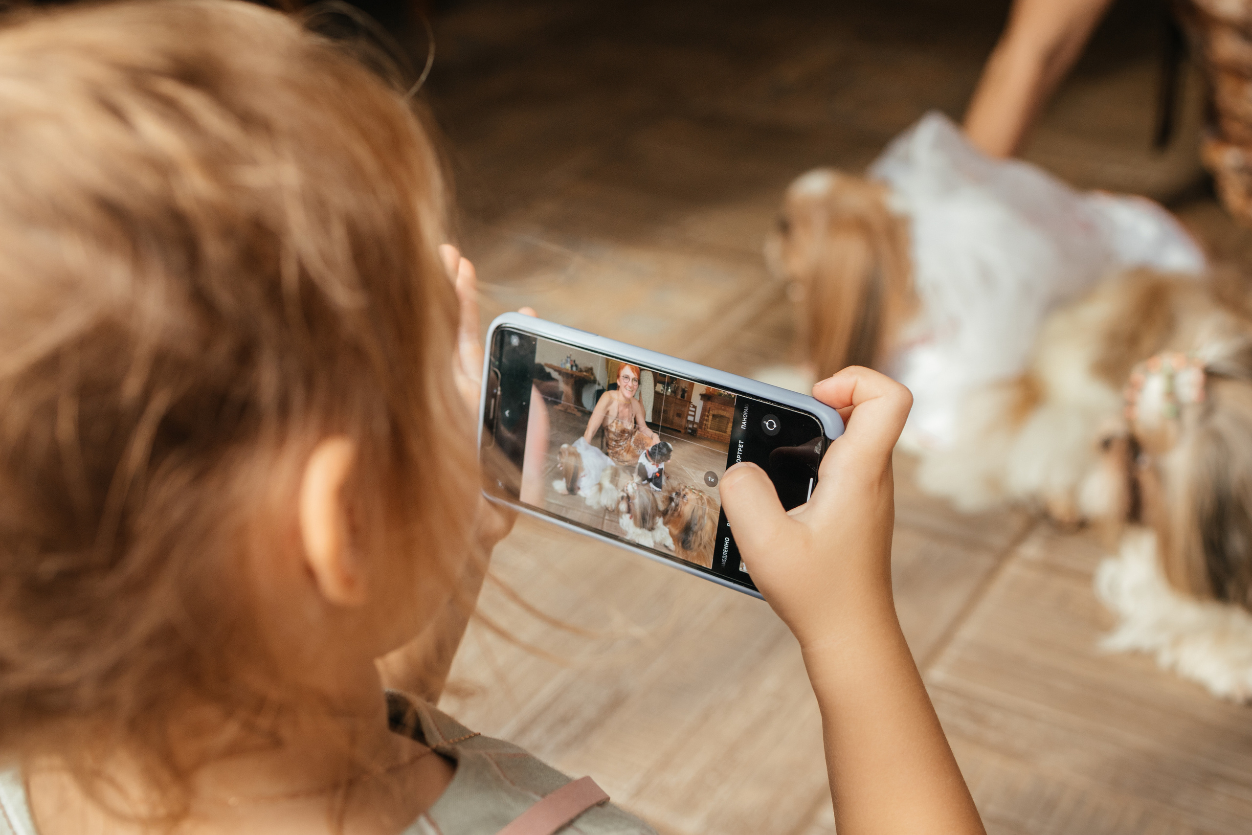 Ксюша и Кирилл 08.08.2021. Фотограф Елена Пожарова. Мурманская область, Апатиты, Кировск, Хибины