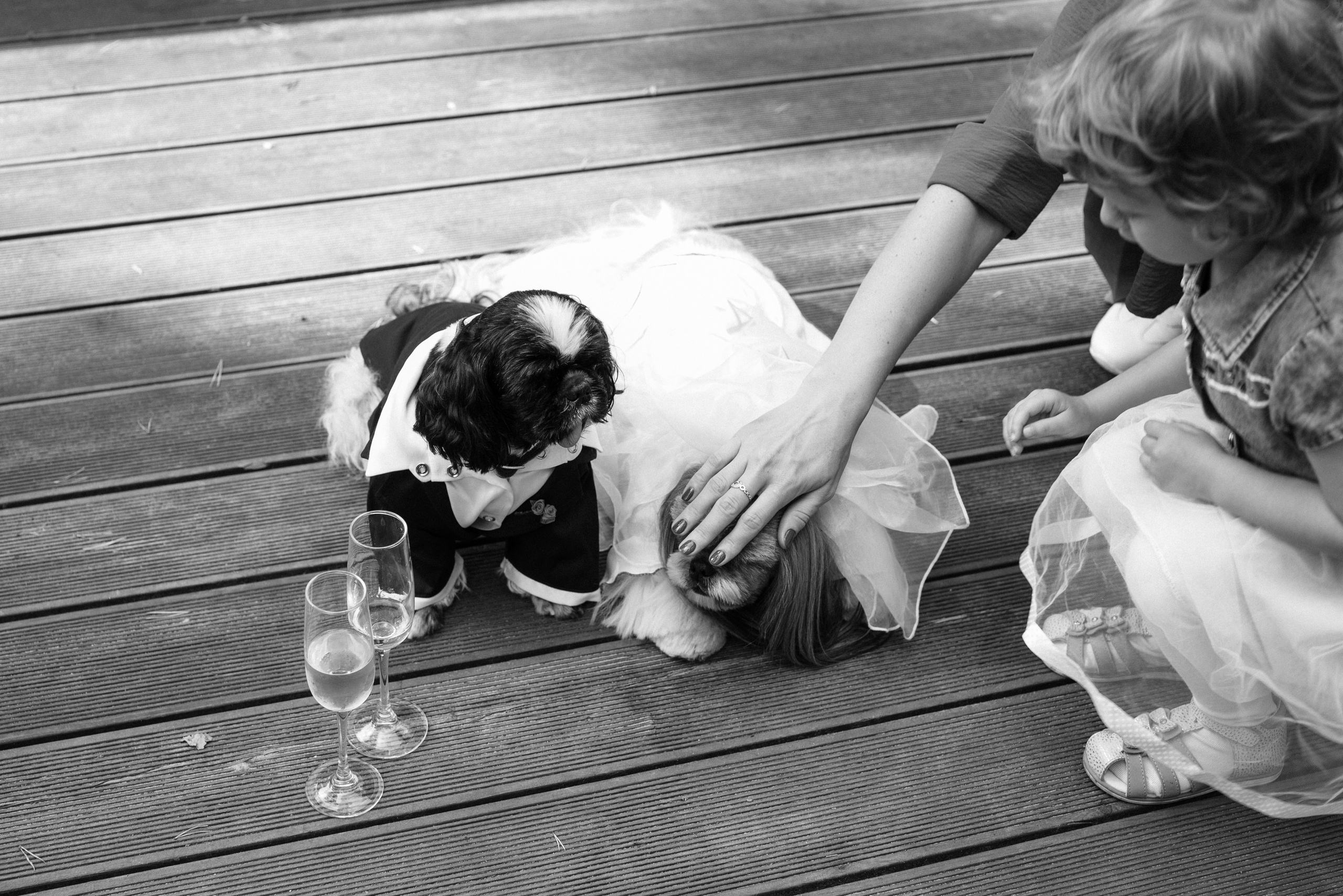 Ксюша и Кирилл 08.08.2021. Фотограф Елена Пожарова. Мурманская область, Апатиты, Кировск, Хибины