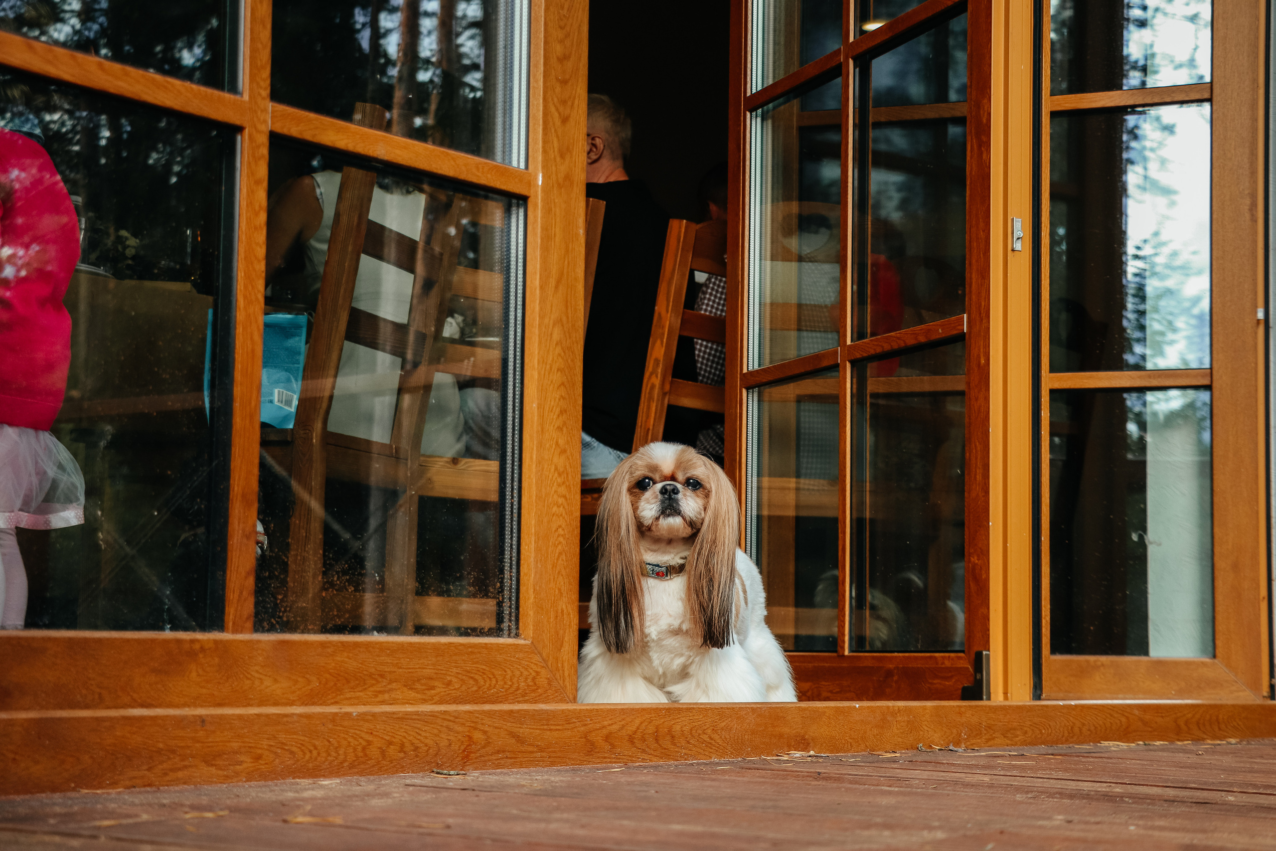 Ксюша и Кирилл 08.08.2021. Фотограф Елена Пожарова. Мурманская область, Апатиты, Кировск, Хибины