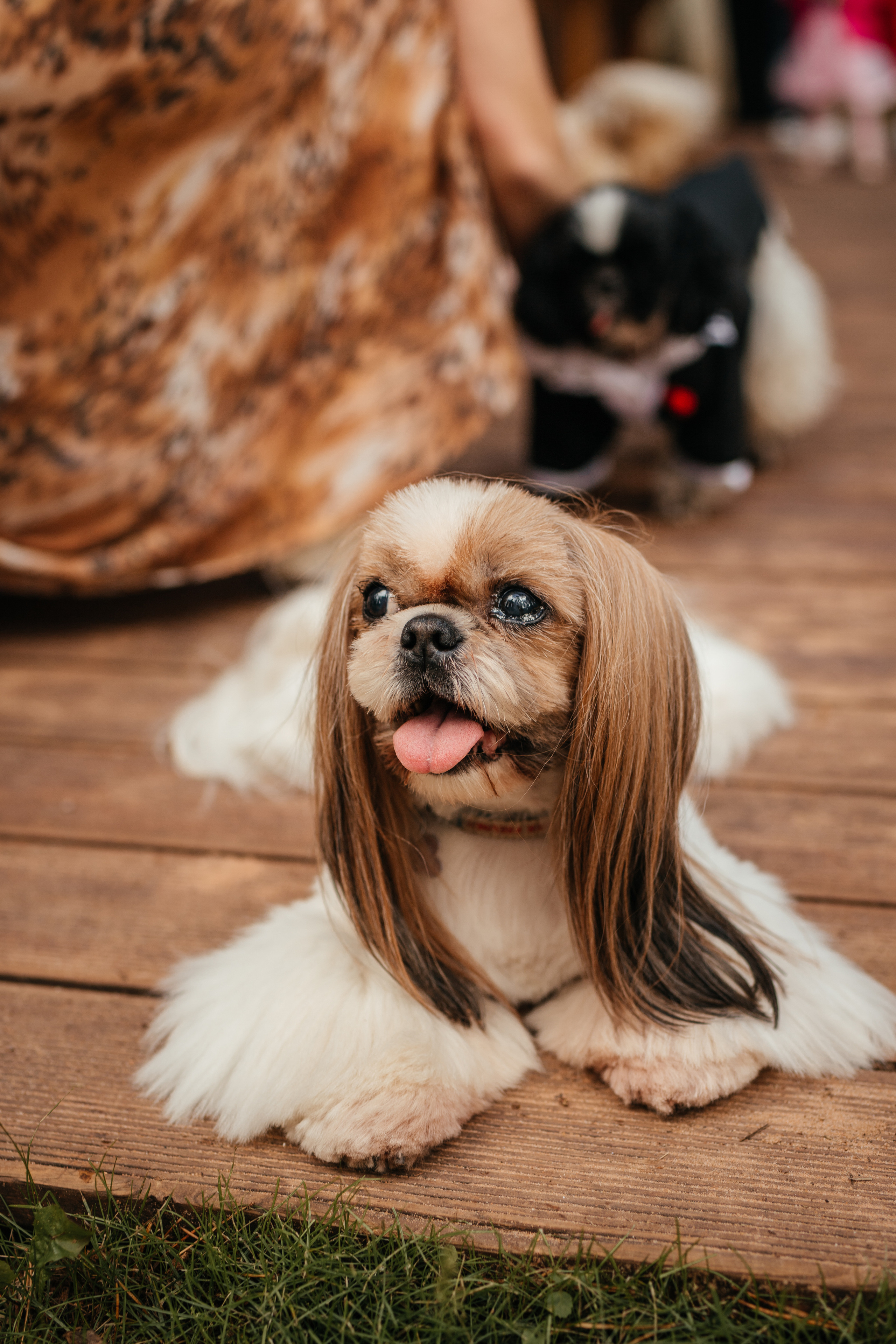 Ксюша и Кирилл 08.08.2021. Фотограф Елена Пожарова. Мурманская область, Апатиты, Кировск, Хибины