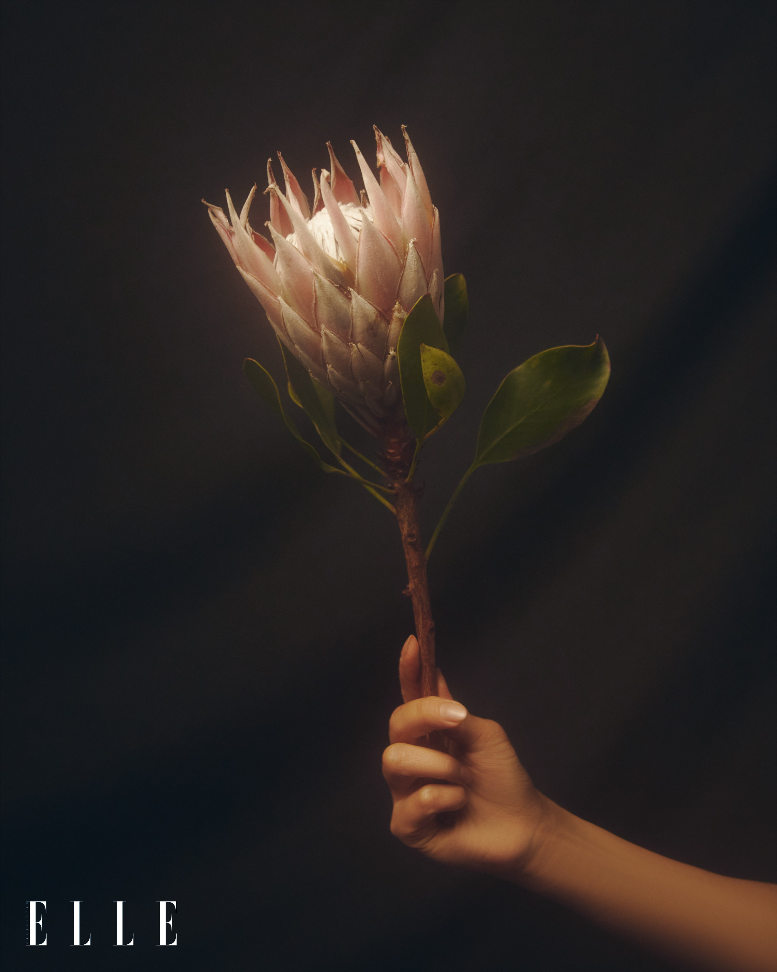 ELLE Kazakhstan. Tender Roots. Fashion, portrait, personal photographer. Almaty, KZ