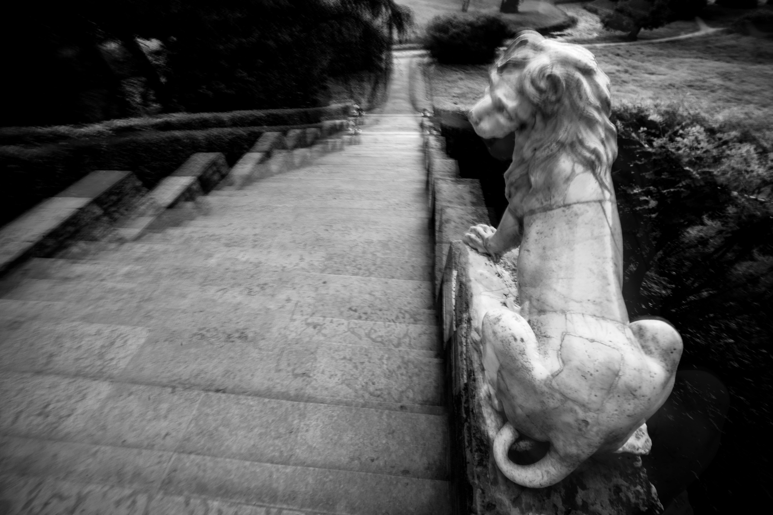 Movement as a myth. Alla Remizova, photographer