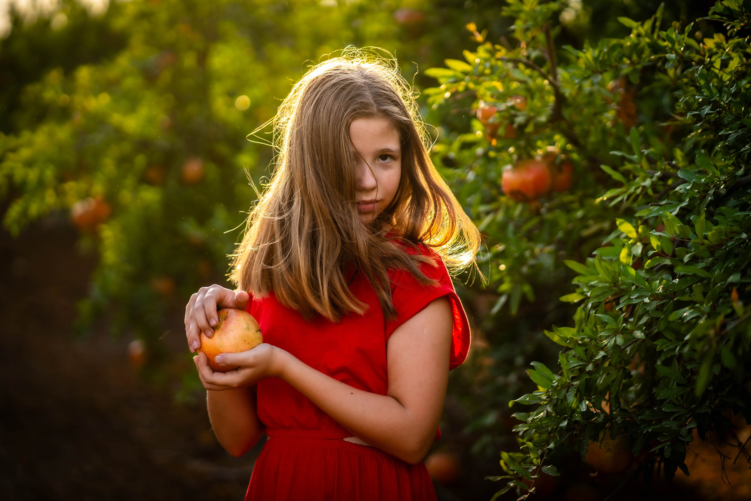 Гранатовый сад. Семейный и детский фотограф в Израиле и Москве Дорошок Надя
