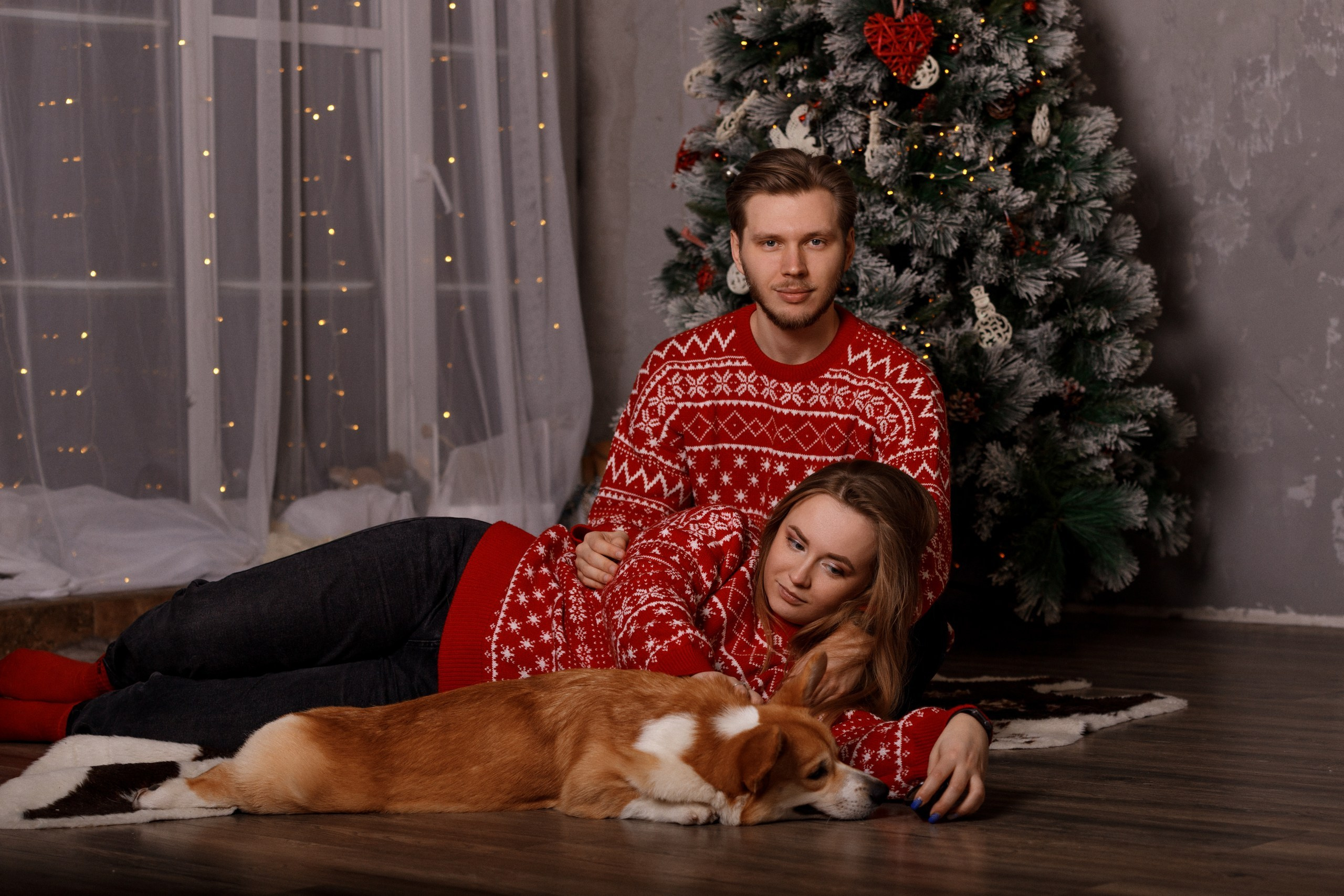 Корги Фил, Катя и Сергей. Новогодняя фотосессия в студии. Фотограф-анималист в Калуге Мария Шерскова