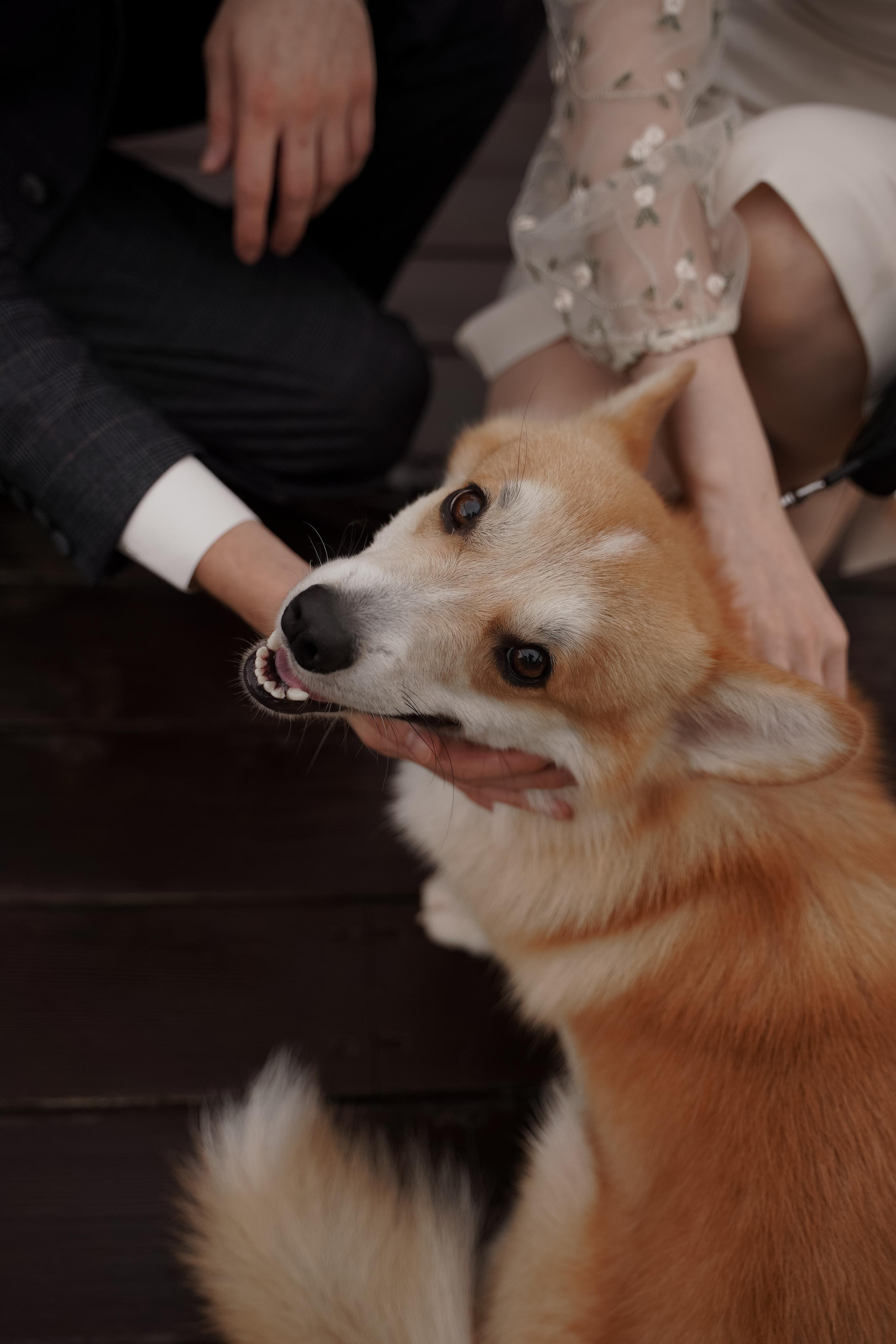 Ирина и Андрей. Свадебный фотограф Марина Попова