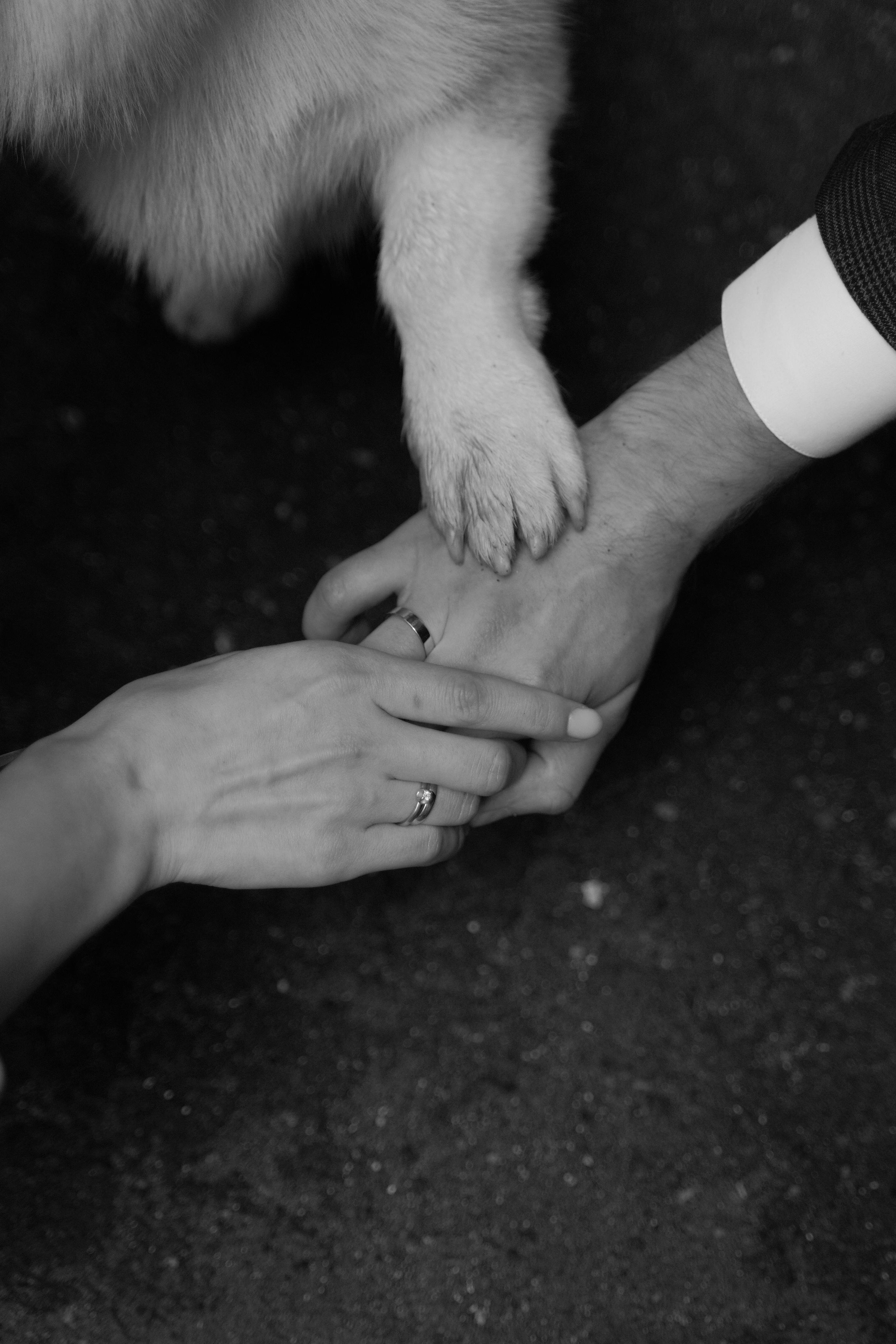 Ирина и Андрей. Свадебный фотограф Марина Попова