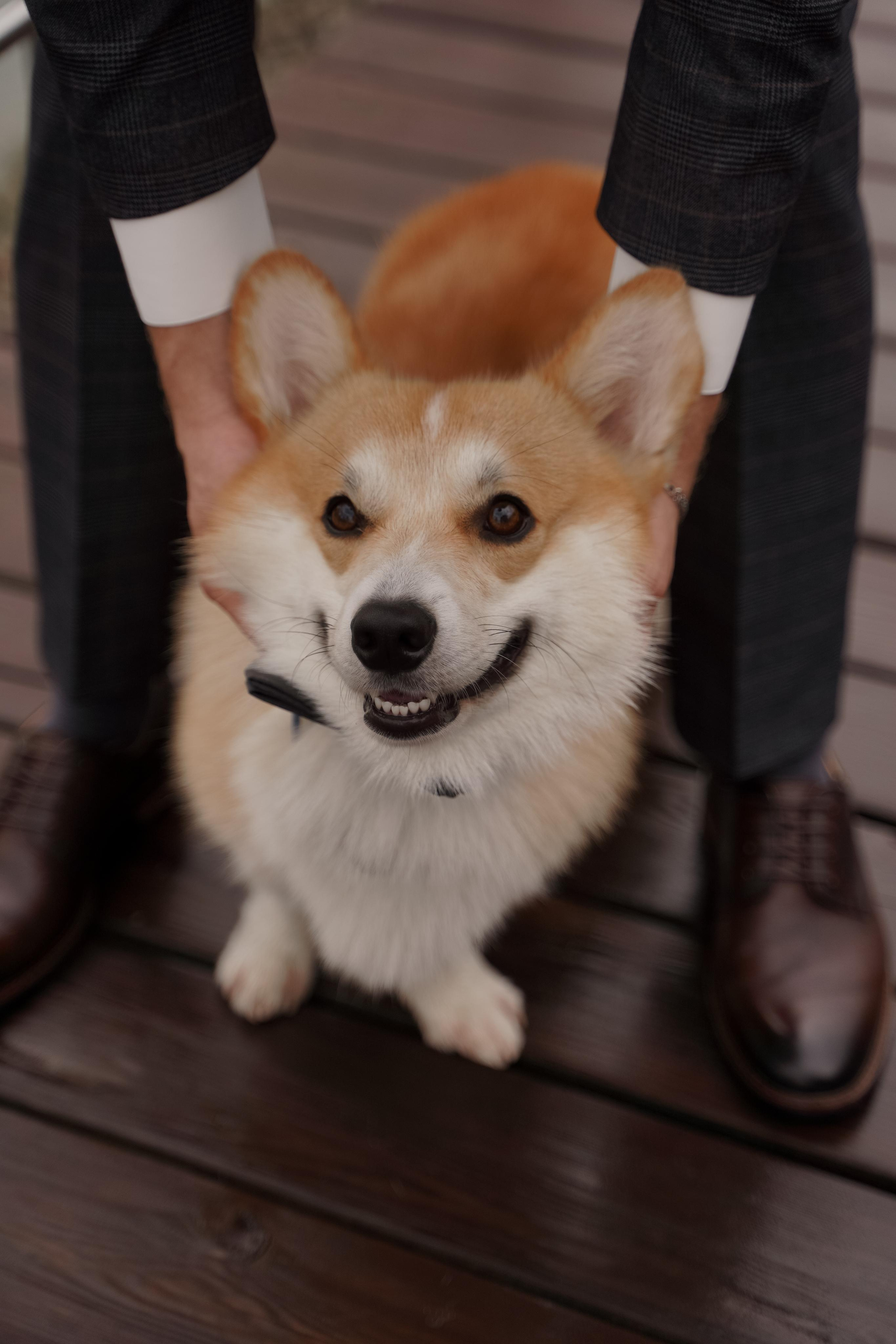 Ирина и Андрей. Свадебный фотограф Марина Попова