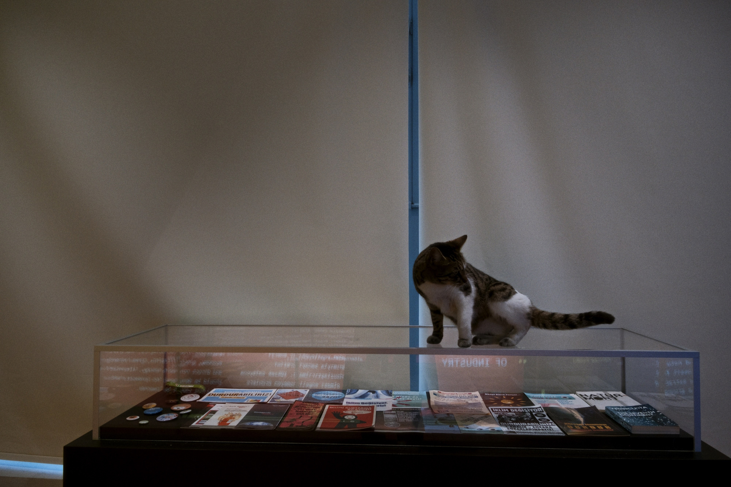 Gazhane Museum / Istanbul, Türkey AW26. Фотограф Юрин Евгений