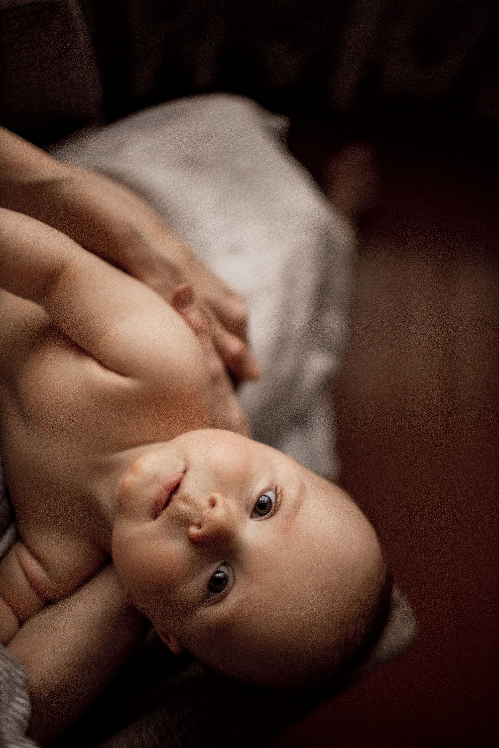 Домашние истории. Детский и семейный фотограф в Твери Ольга Крестьянинова