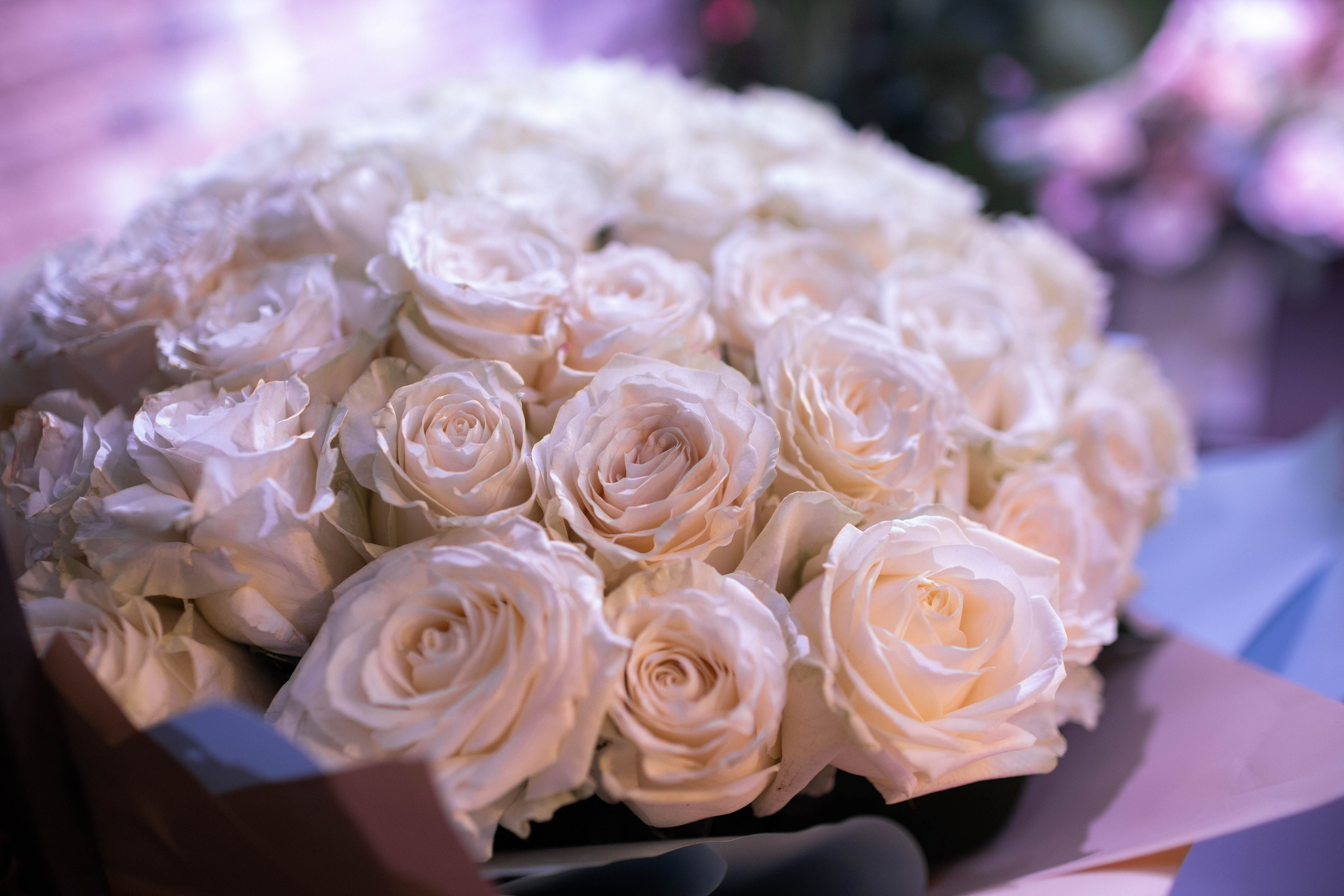 Съёмка Юбилея. Детский и семейный фотограф в Твери Ольга Крестьянинова