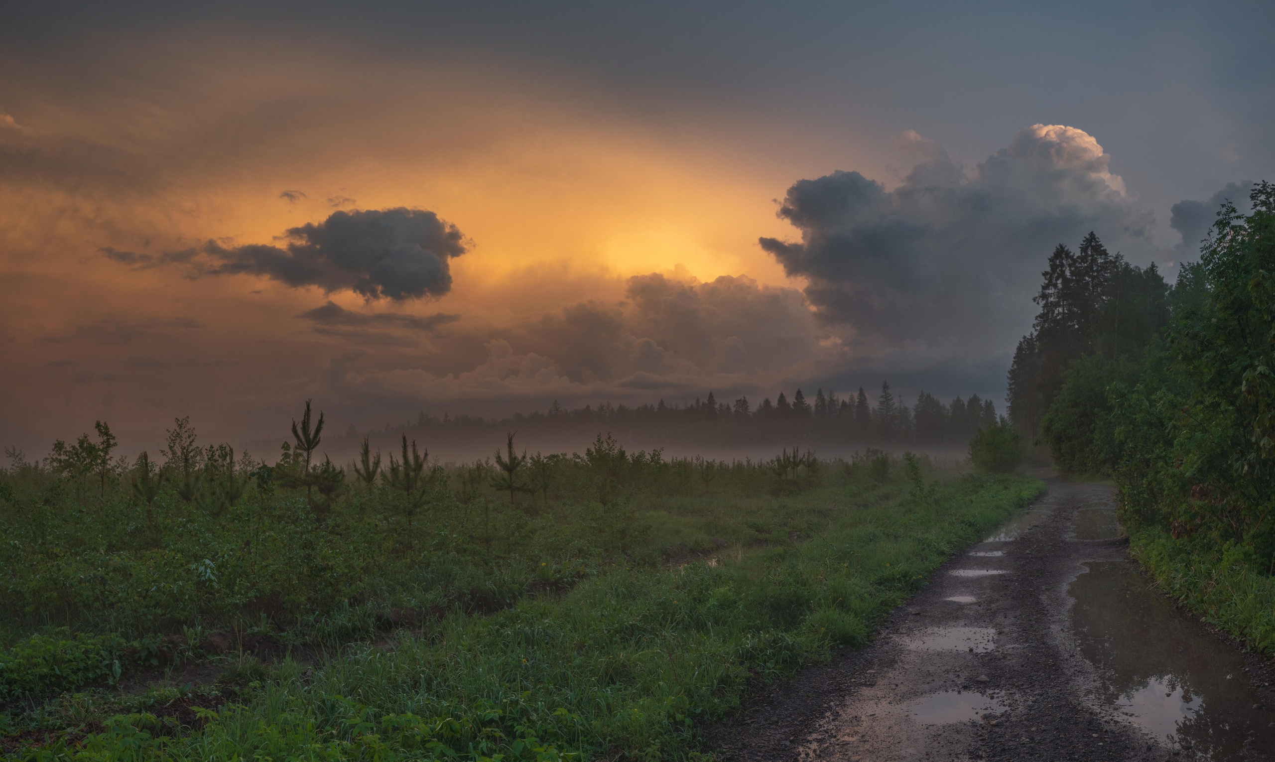 Творчество. Константин Дем | Фотограф