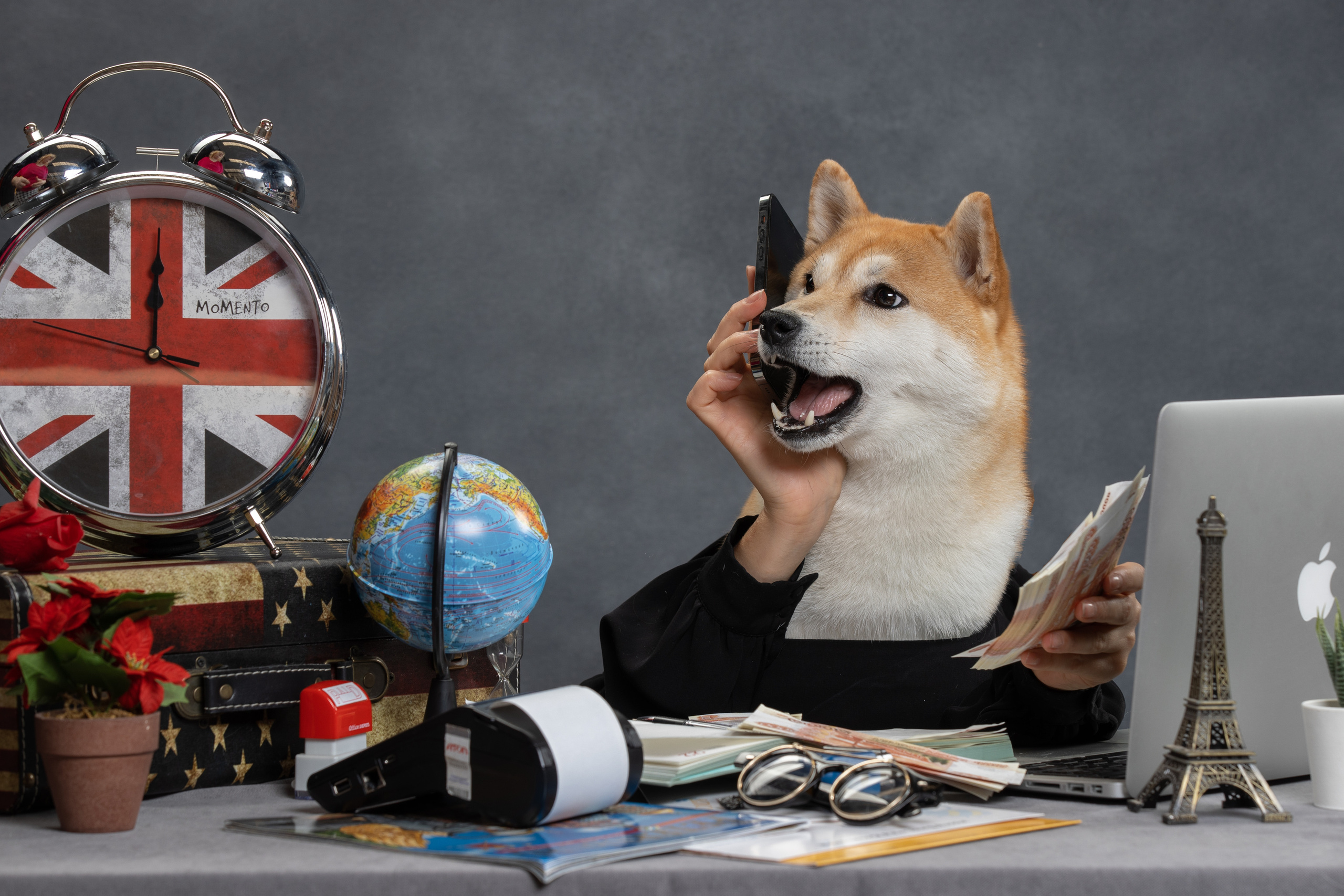 Фотограф анималист в Санкт-Петербурге Светлана Писарева