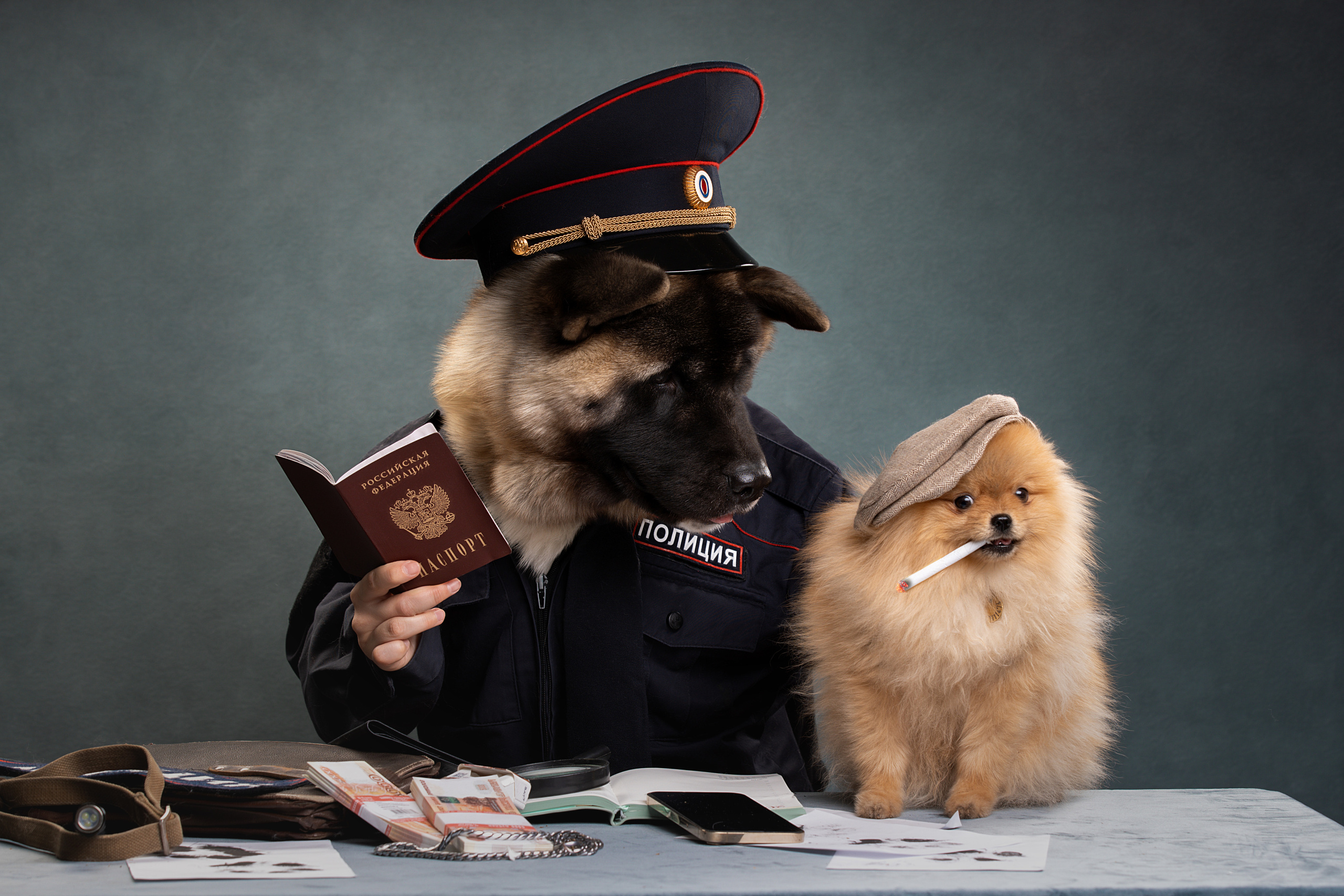 Фотограф анималист в Санкт-Петербурге Светлана Писарева