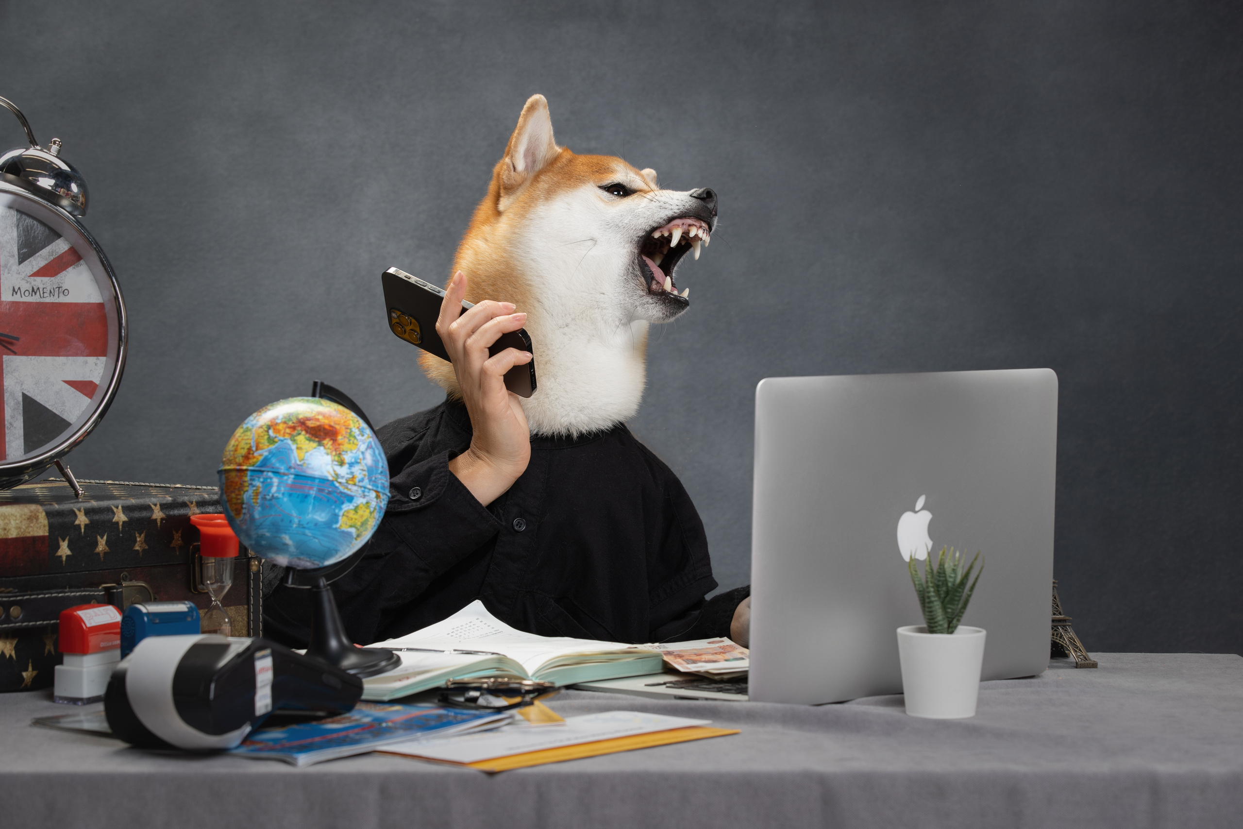 Фотограф анималист в Санкт-Петербурге Светлана Писарева