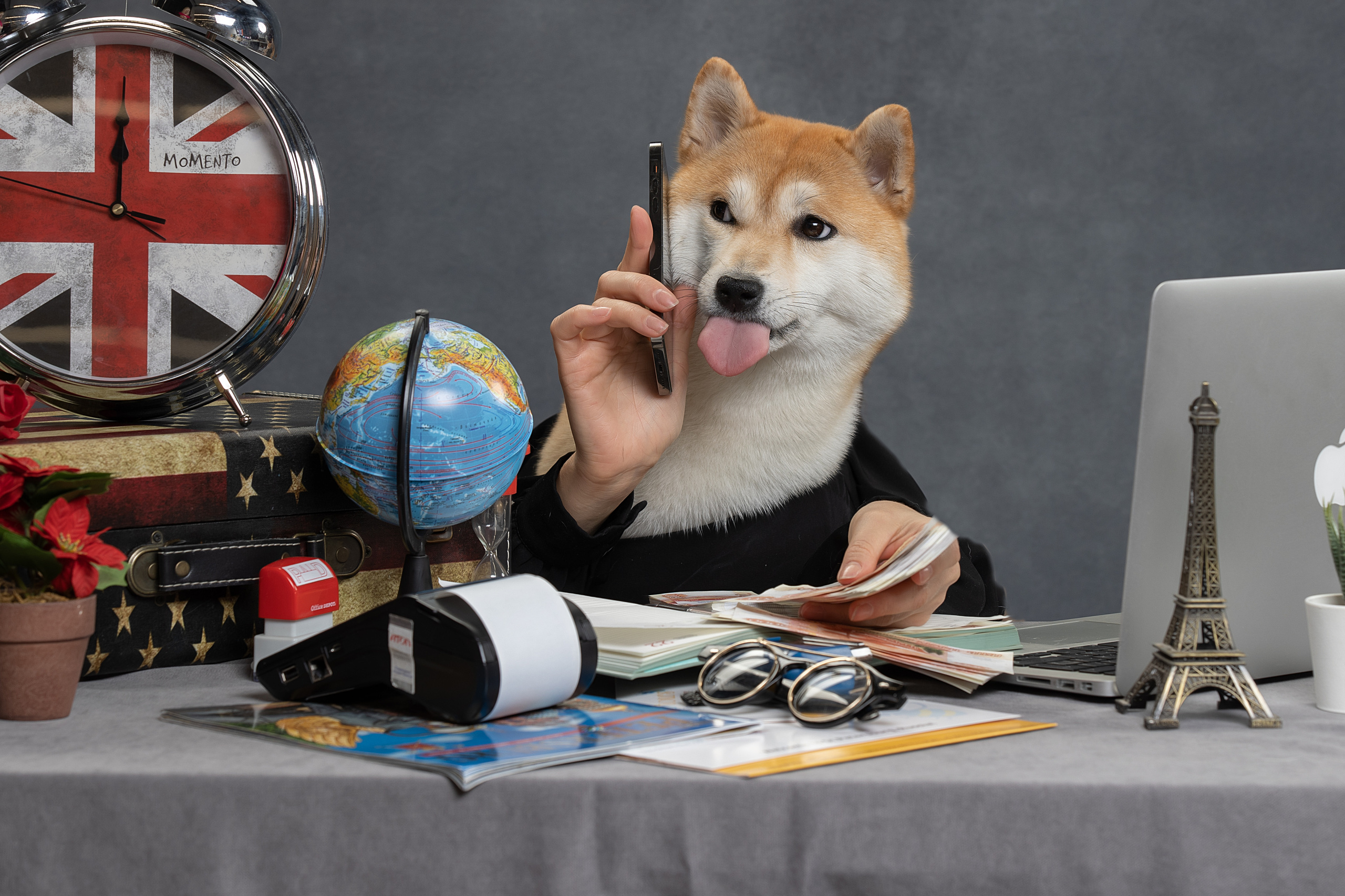 Фотограф анималист в Санкт-Петербурге Светлана Писарева