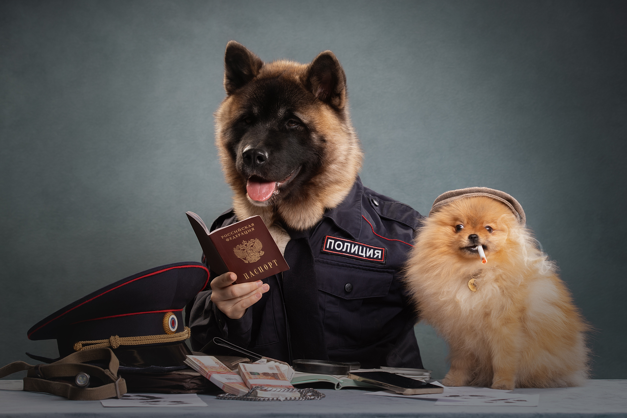 Фотограф анималист в Санкт-Петербурге Светлана Писарева