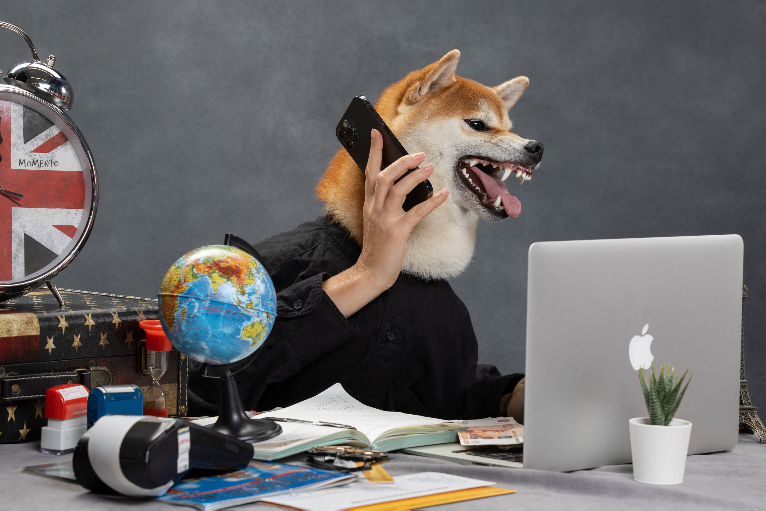 Фотограф анималист в Санкт-Петербурге Светлана Писарева